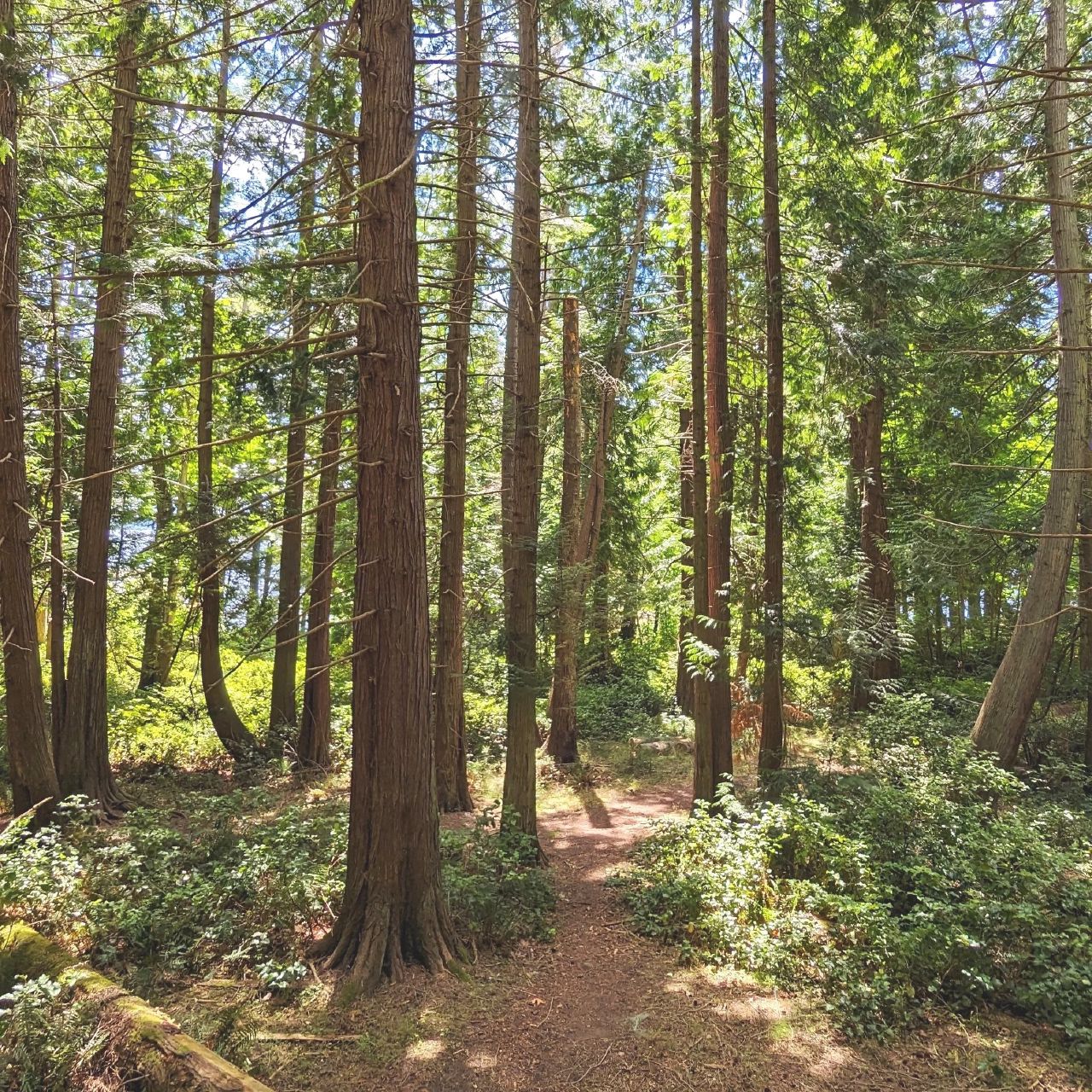 The hike to Mt. Norman in Beaumont Marine Park