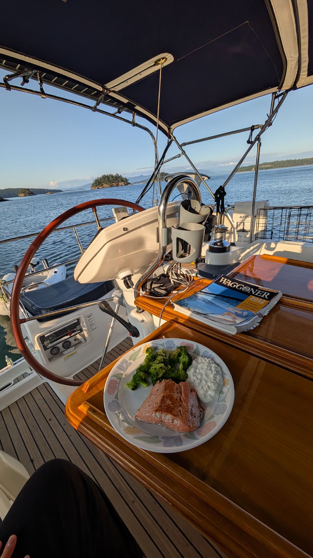 Salmon dinner with broccoli served in the cockpit of SV Yahara at Eagle Harbor