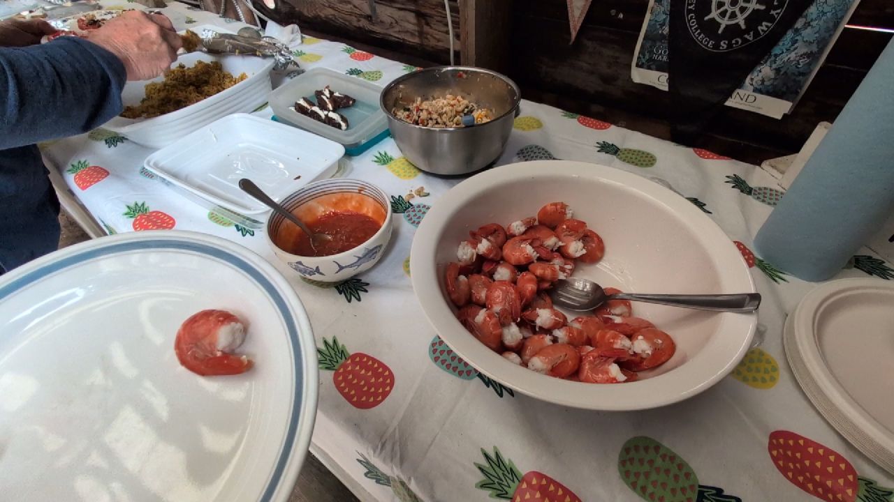 Potluck food spread with tomato salad, cookies, and pasta at Lagoon Cove