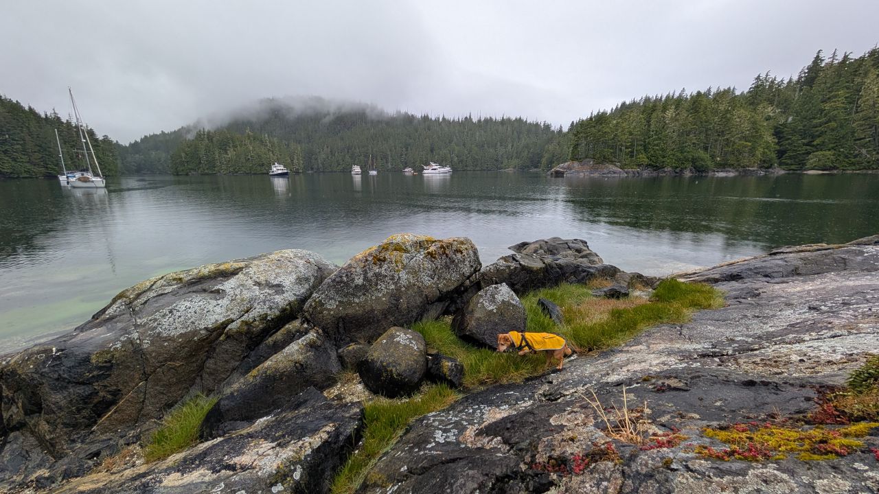 Maui in her yellow rain jacket exploring the rocky shore at Waddington Bay with boats at anchor