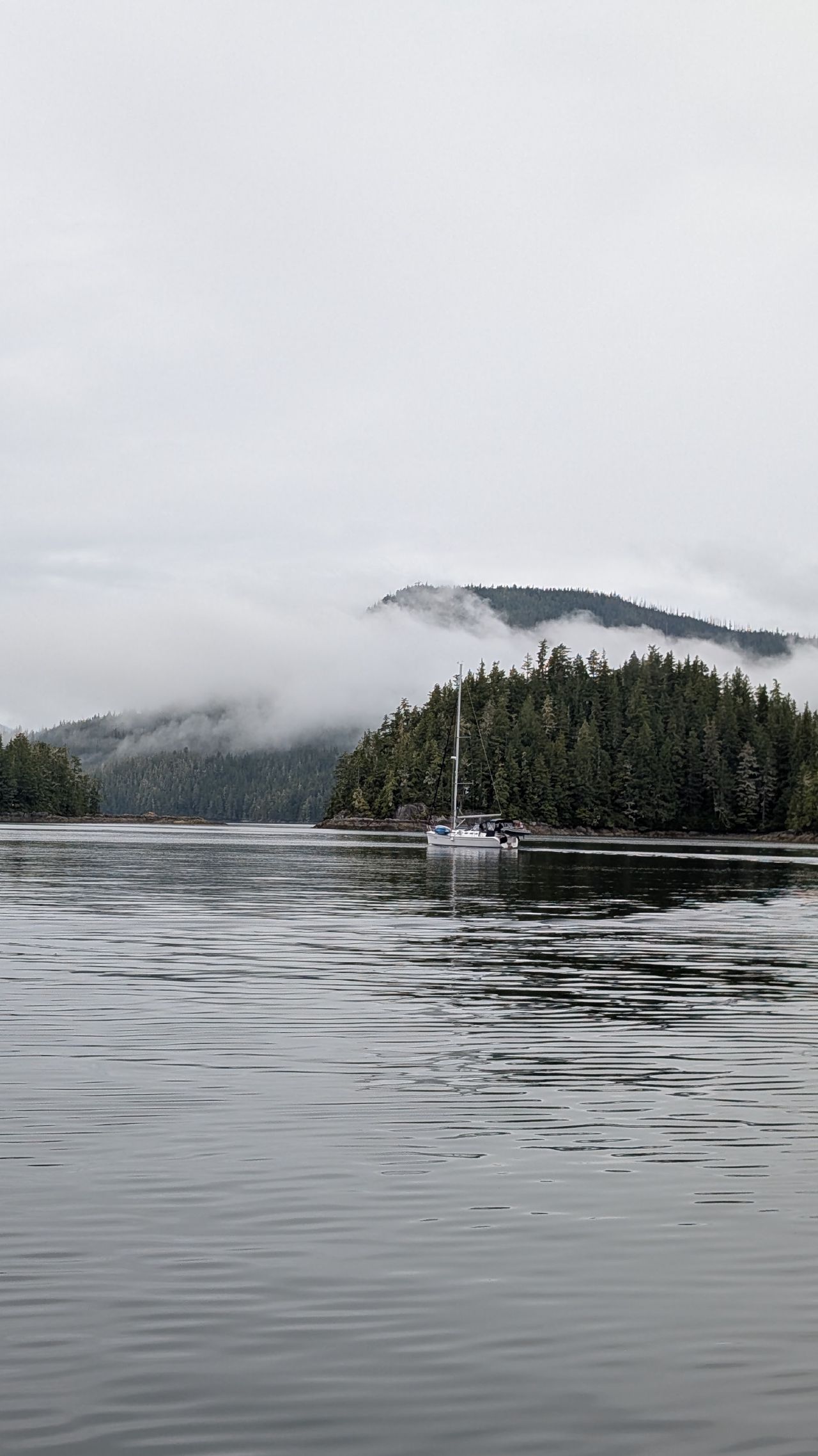A sailboat anchored in a misty bay with cloud-covered mountains in the Broughtons