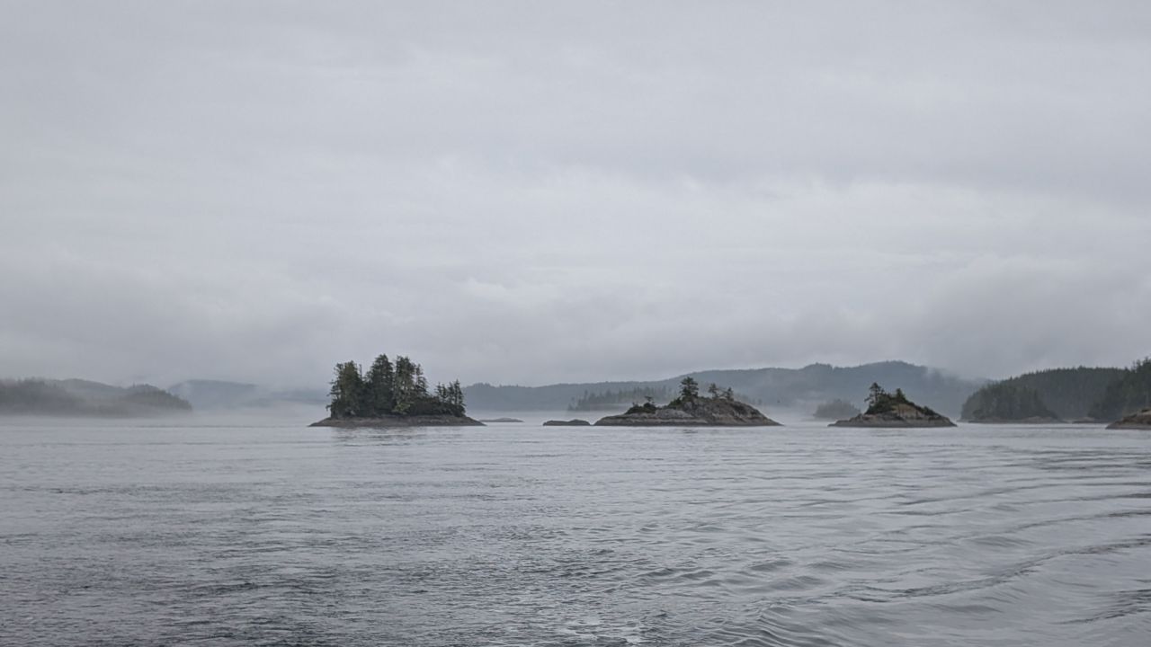 Small tree-covered islands emerging from fog during the passage through the Broughtons