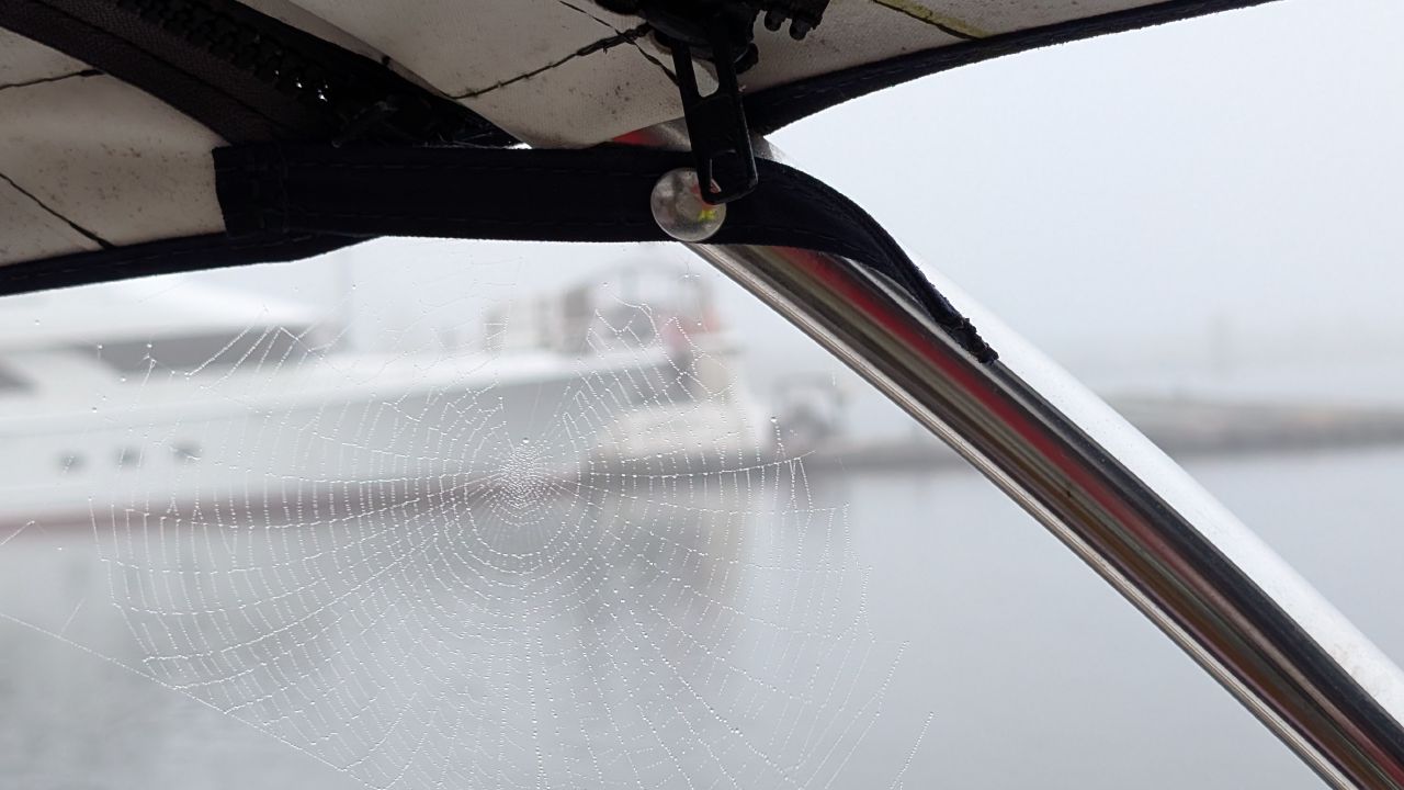 Dew-covered spider web glistening on the bimini frame in the morning fog