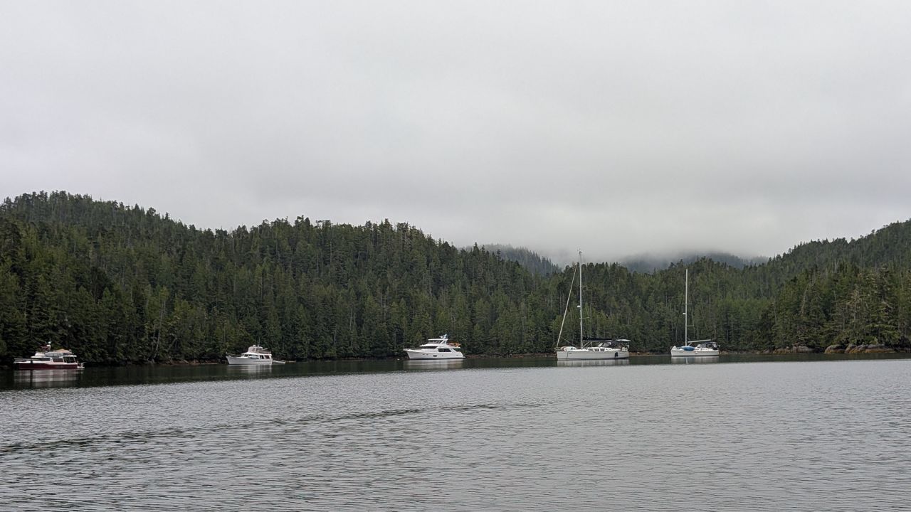 Several boats anchored in Rock Inlet surrounded by dense forest on an overcast day