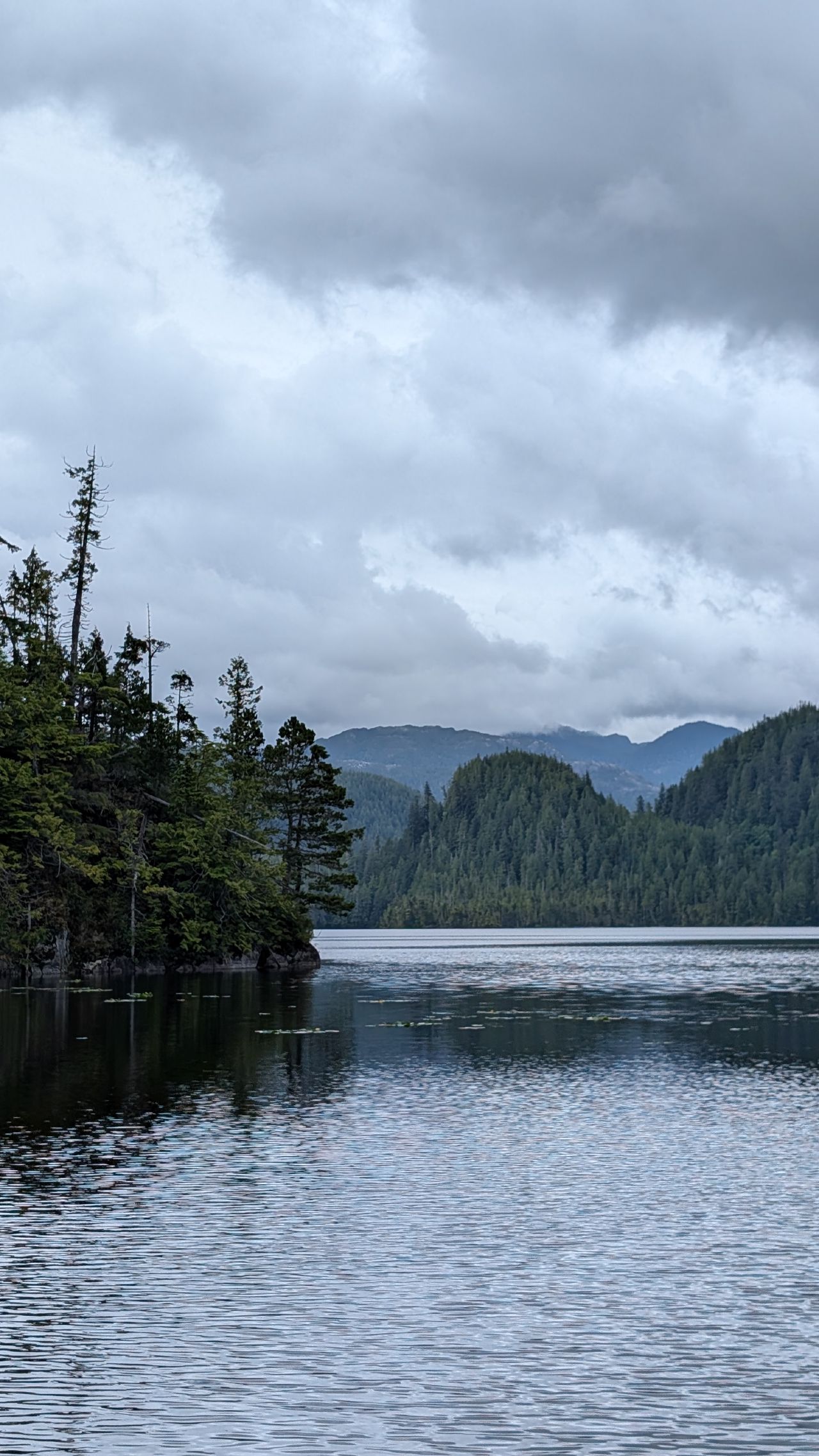 Freshwater lake with dramatic clouds and forested mountains near Codville Lagoon