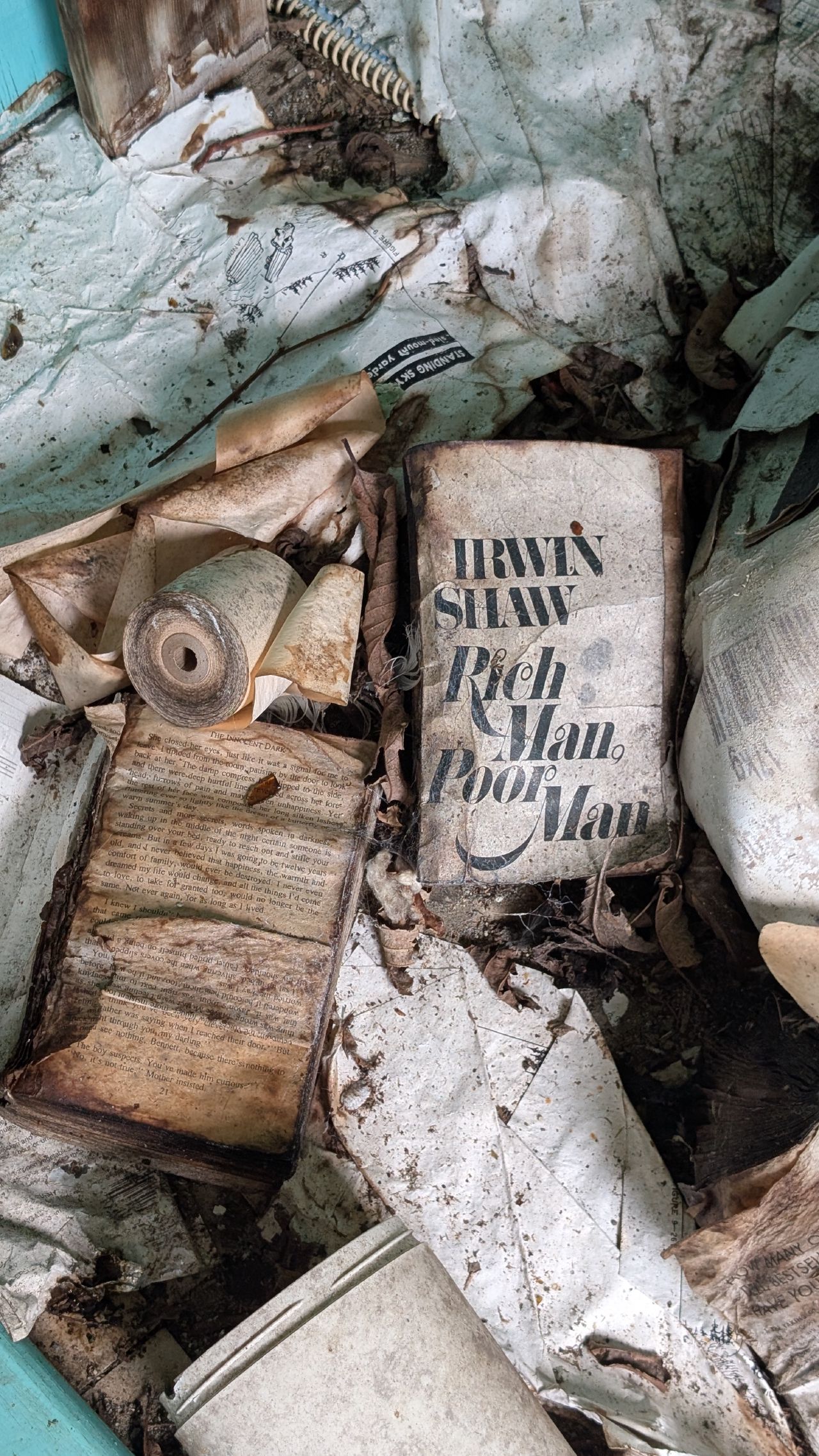 Decaying books including Rich Man Poor Man scattered in an abandoned building in Namu