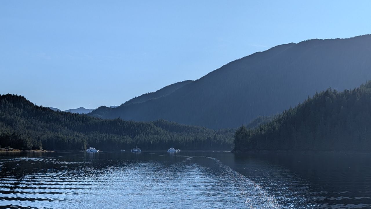 Flotilla boats motoring through a sunlit inlet with steep forested mountains