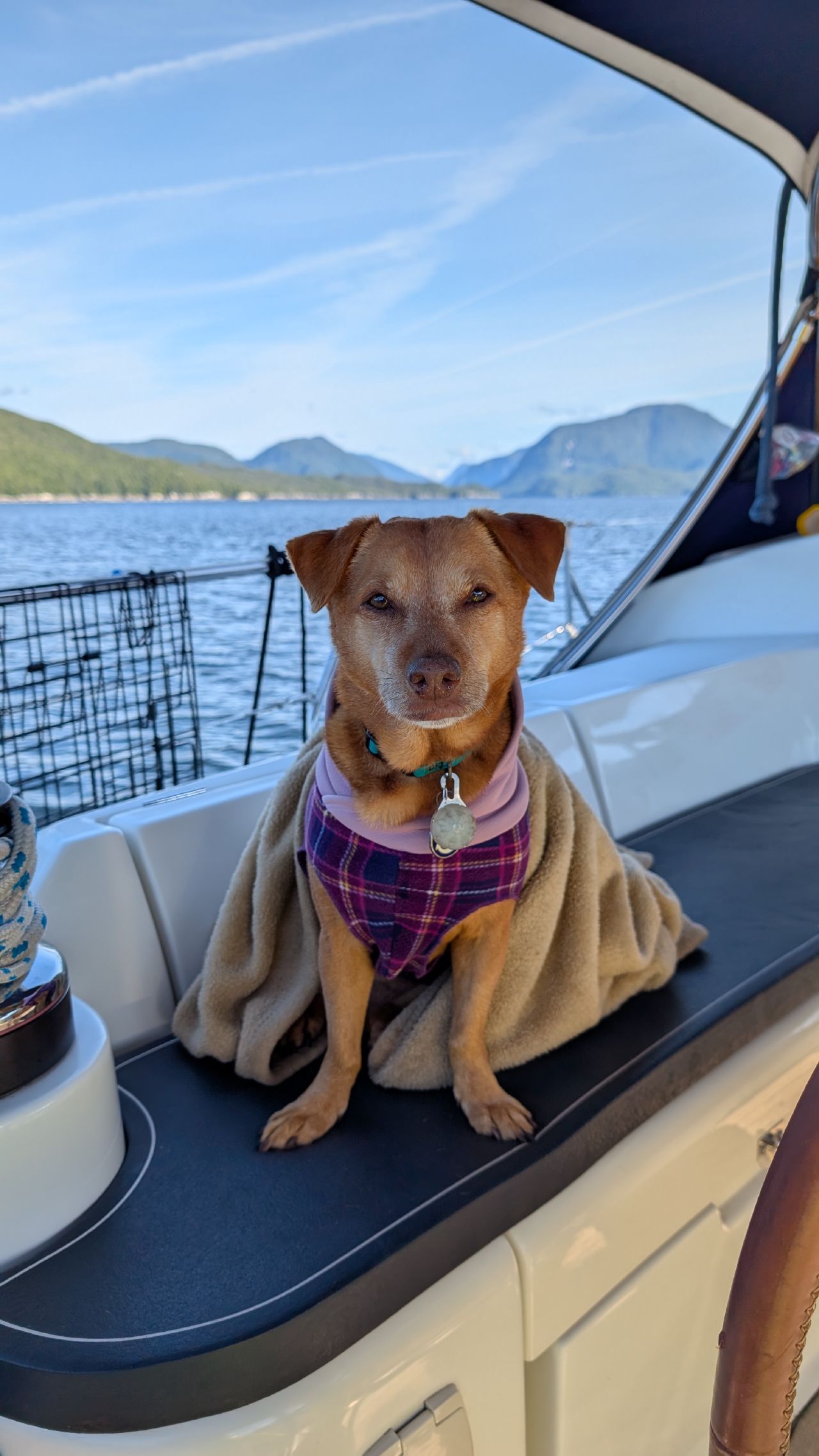 Maui sitting in the cockpit wrapped in a cozy blanket with mountains behind her