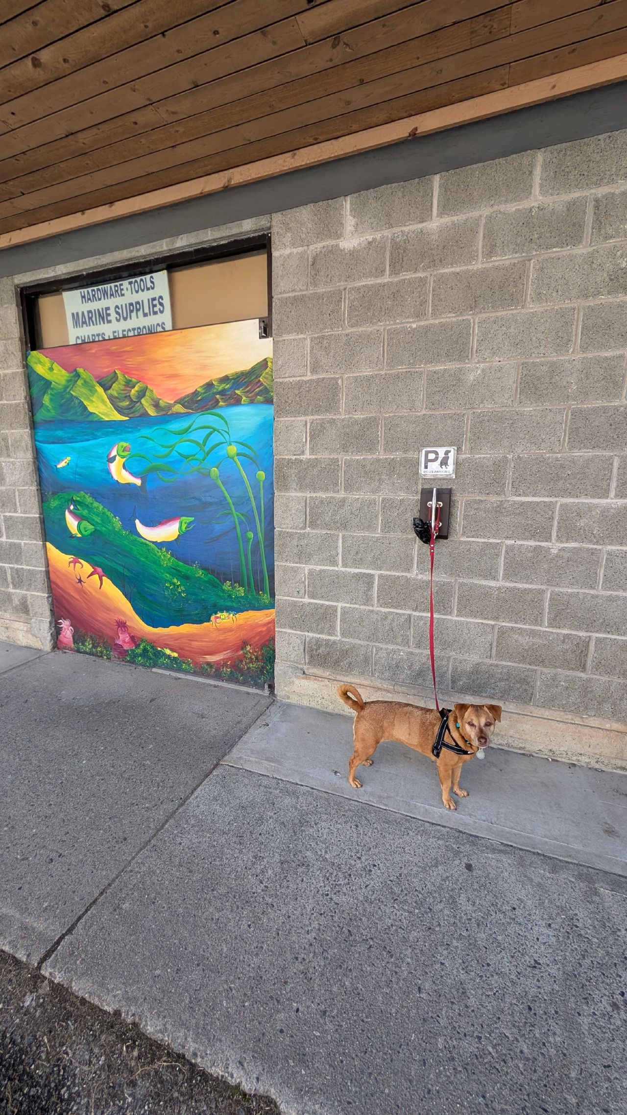 Maui tied up outside the marine supply store next to a colorful ocean mural in Shearwater