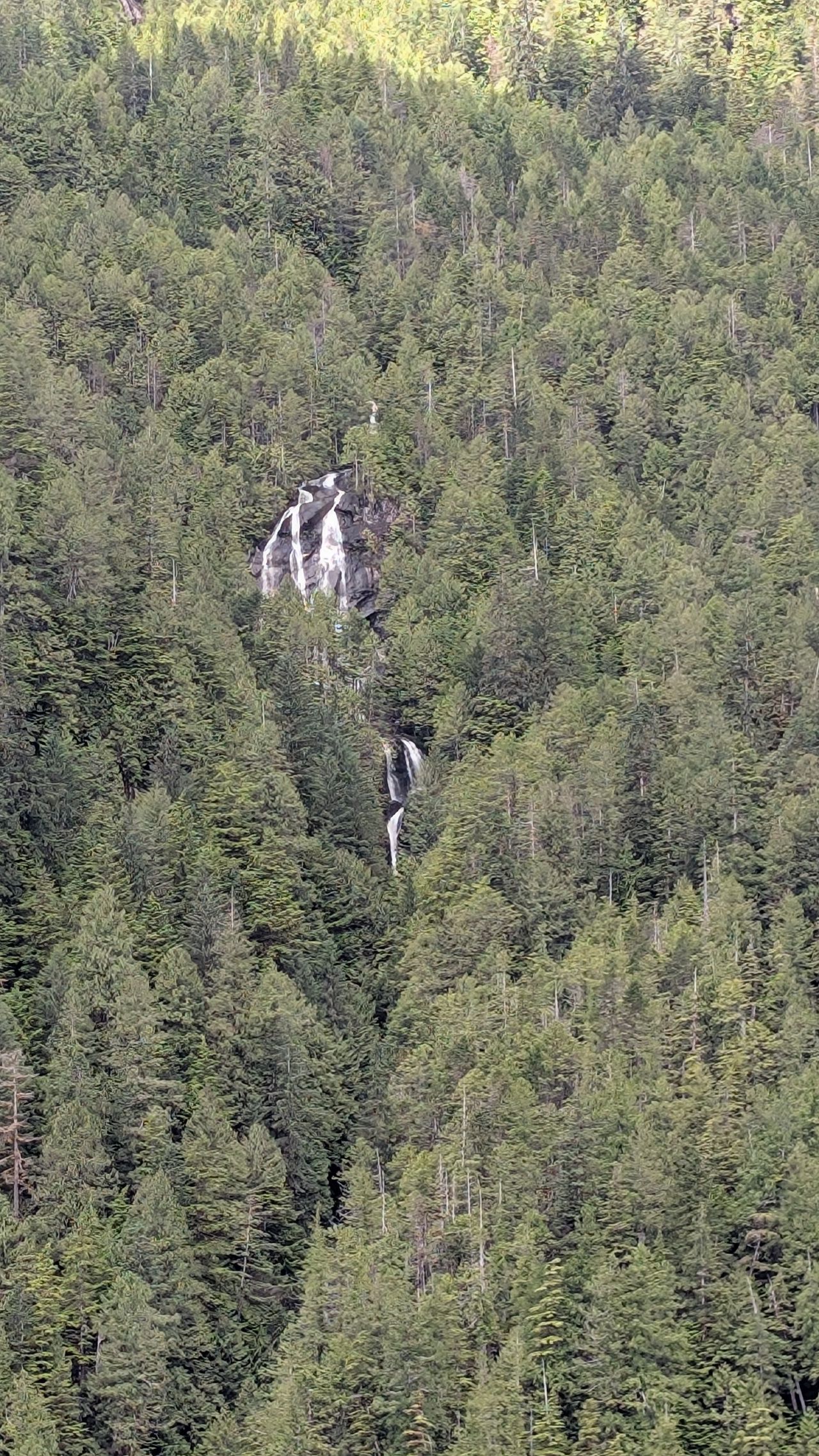 Small waterfall hidden among the dense green forest on the mountainside
