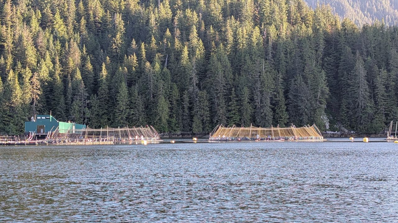 Closer view of the fish farm net pens and buildings in the channel