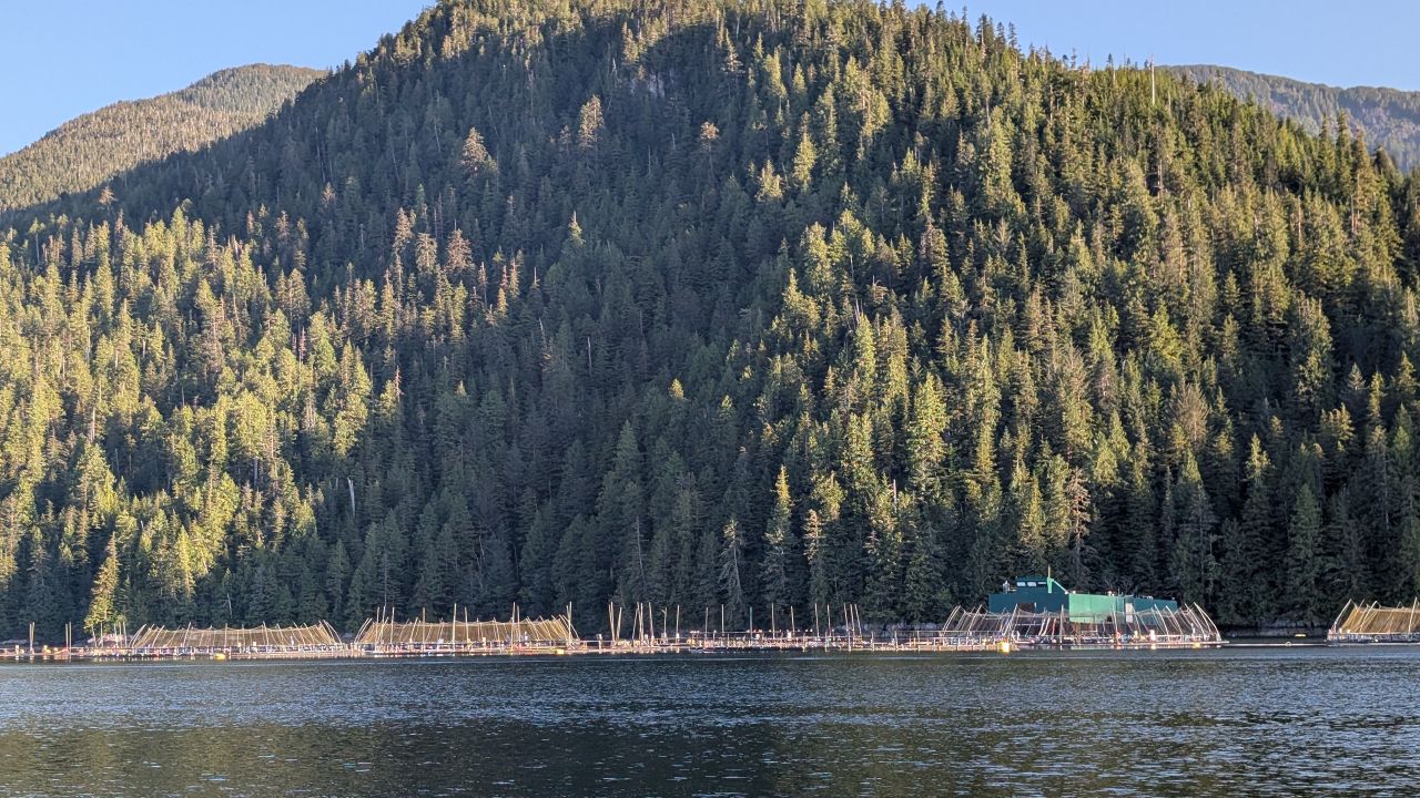 Fish farm net pens along the forested mountainside in the channel