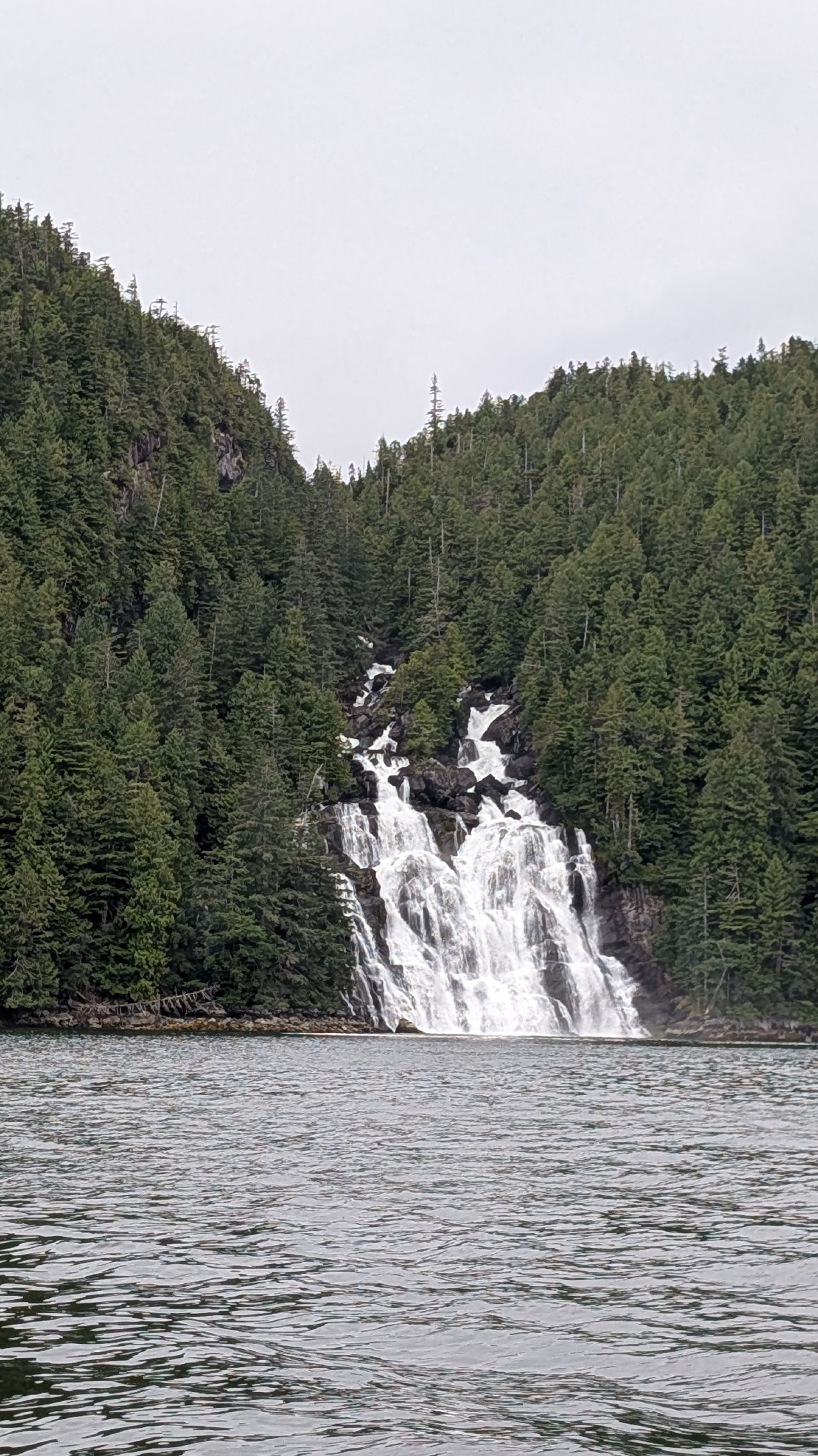 Epic waterfall cascading over rocks and flowing into the cove surrounded by dense forest