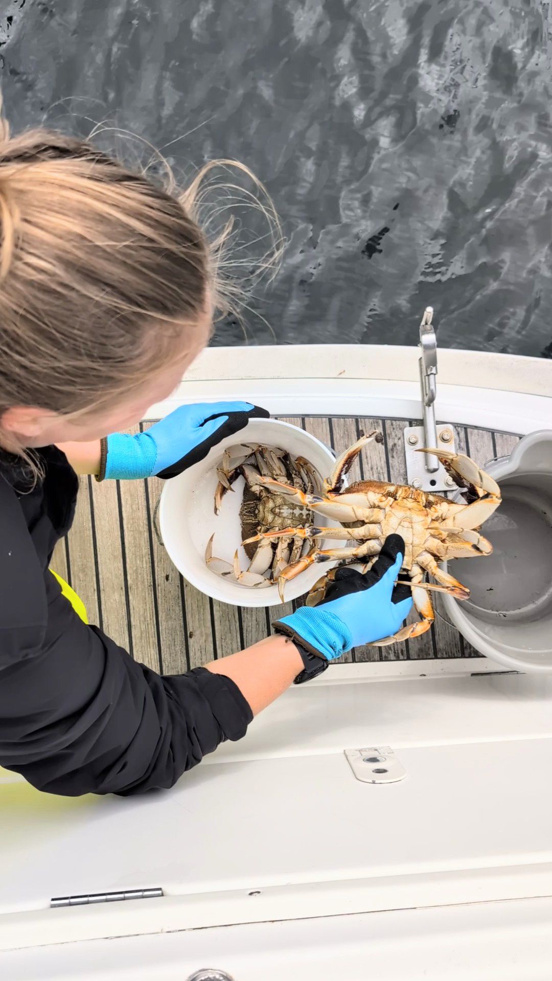 Rachel in blue gloves sorting keeper crabs into a bucket on the back deck of the sailboat
