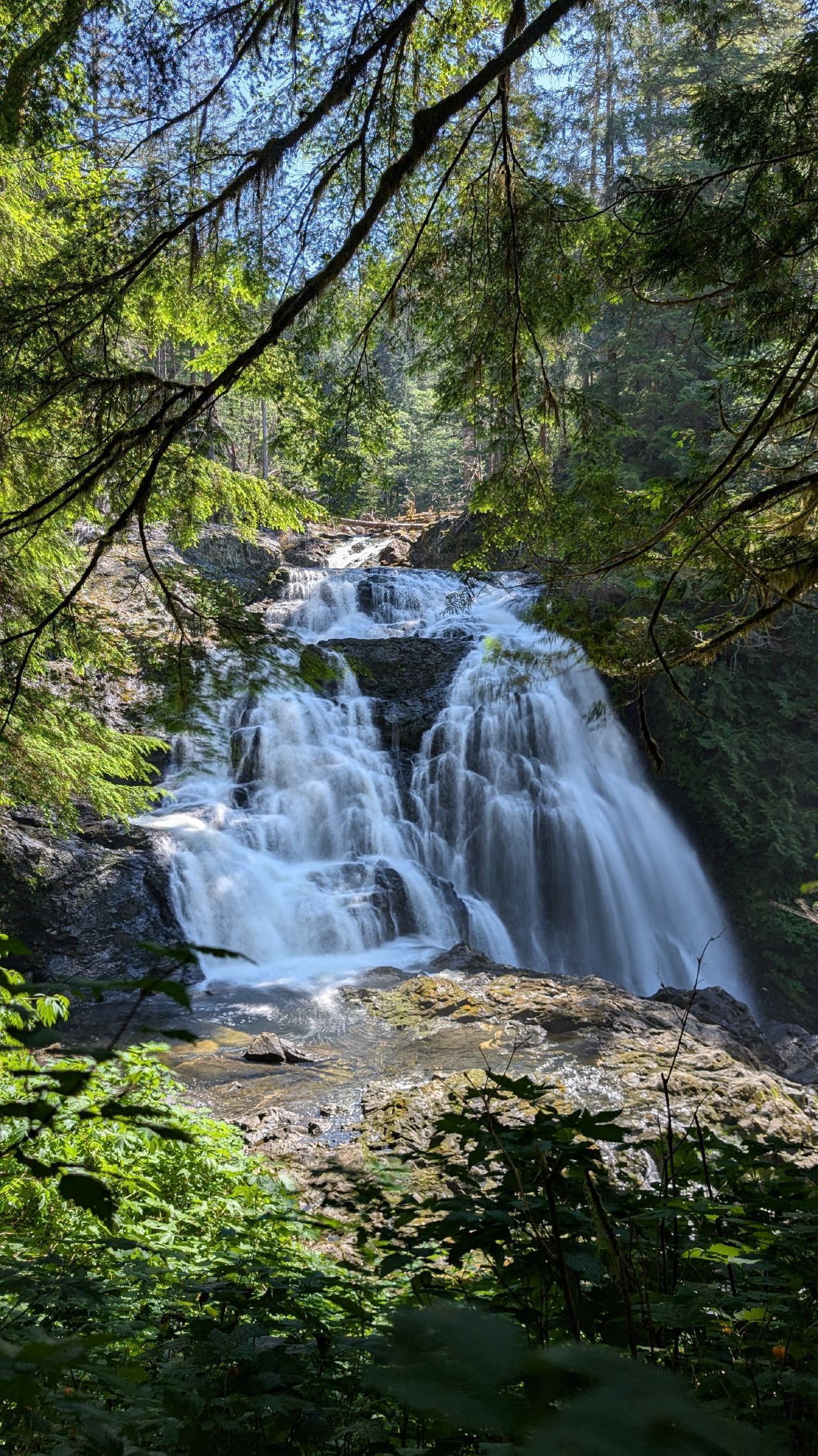 Beautiful cascading waterfall framed by lush green forest at the end of the Swanson Bay hike