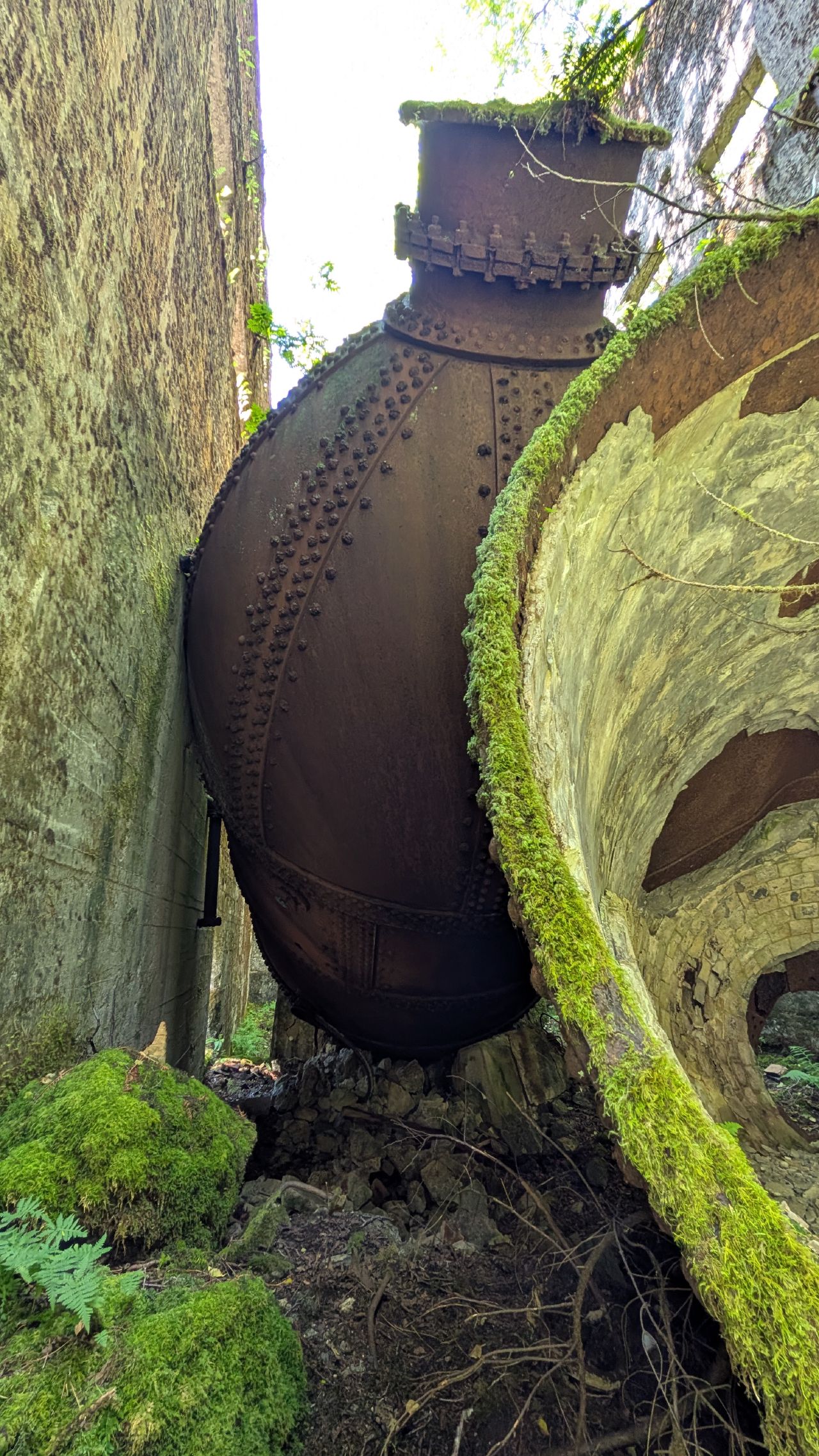 Moss-covered riveted industrial boiler nestled among the concrete ruins at Swanson Bay