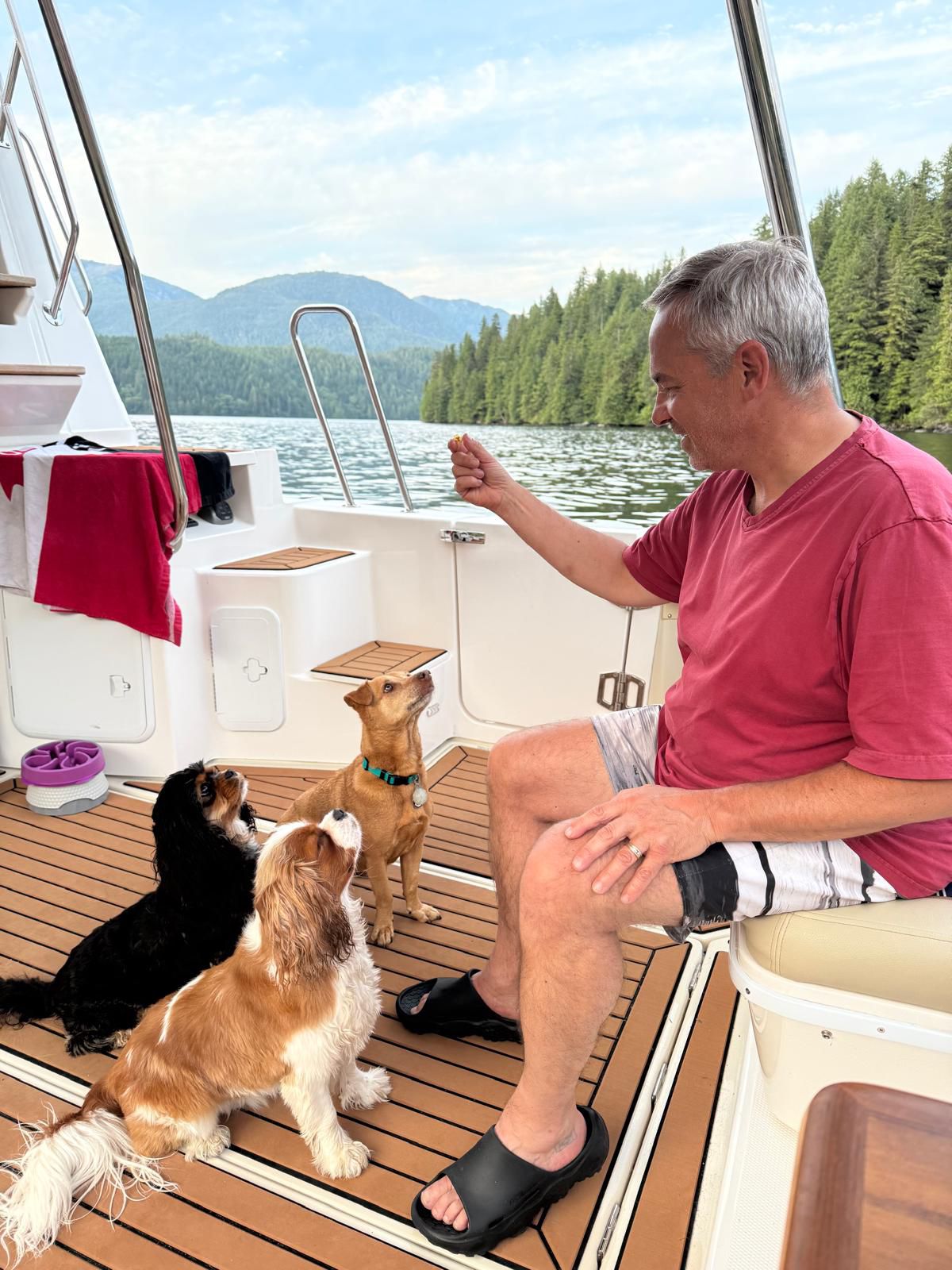 Paul feeding treats to Maui and two King Charles Cavaliers in the cockpit at Butedale