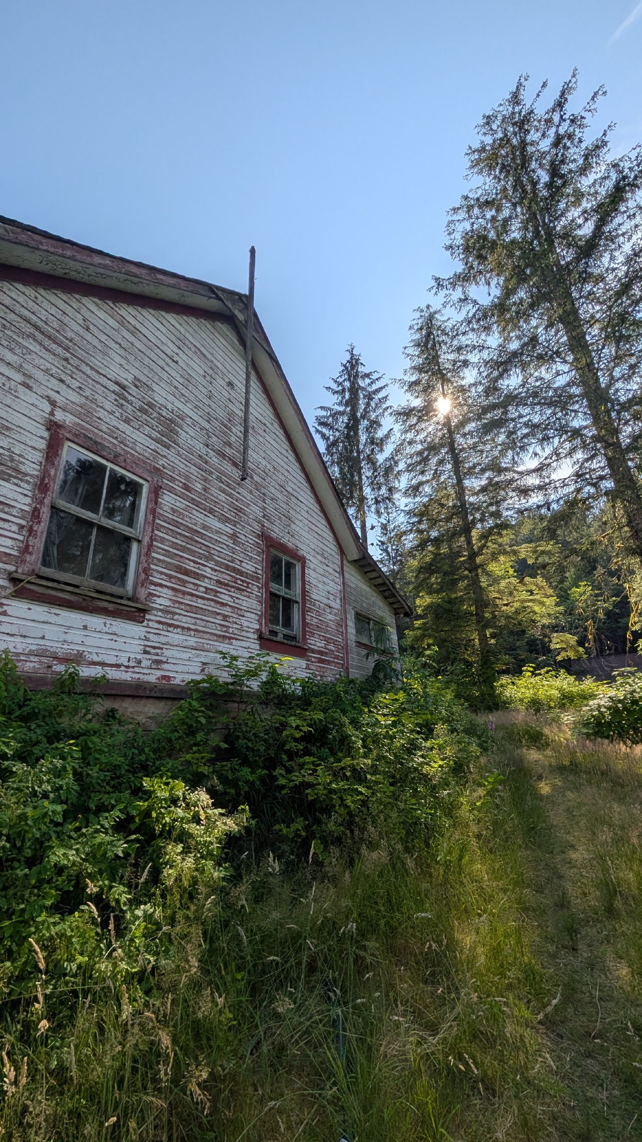 Weathered white and red cannery building being reclaimed by vegetation at Butedale