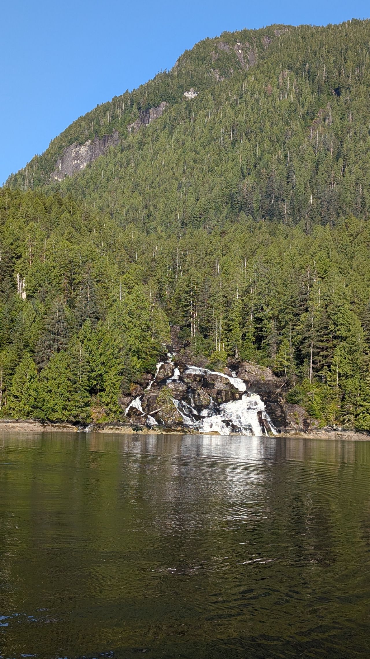 Butedale Falls cascading down rocks into the water surrounded by dense forest