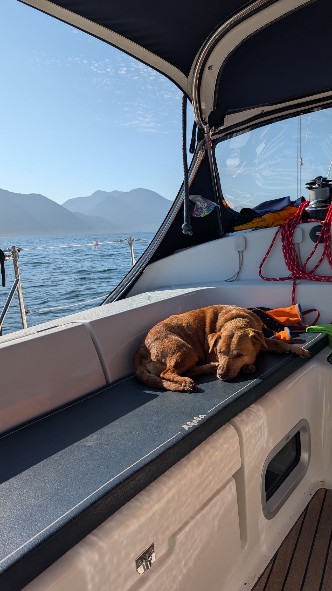 Maui curled up napping on the cockpit cushion with mountains visible through the bimini