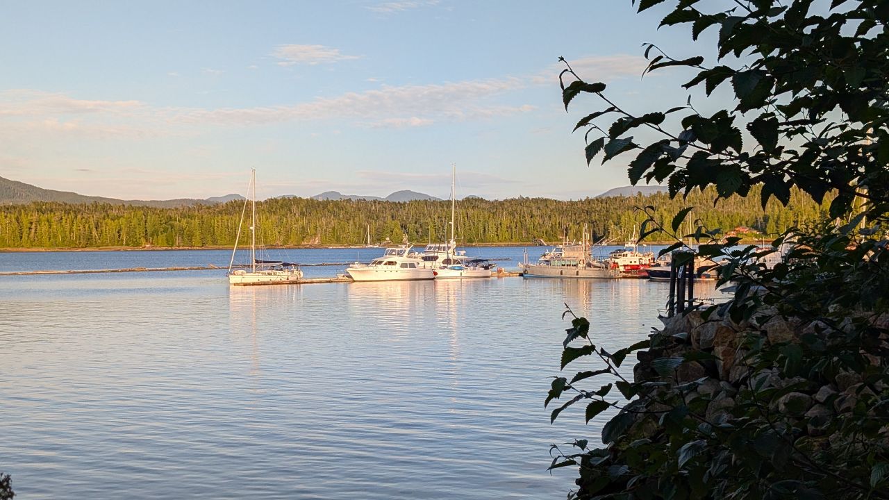 Sailboats and powerboats at the Shearwater dock framed by green foliage on a calm evening
