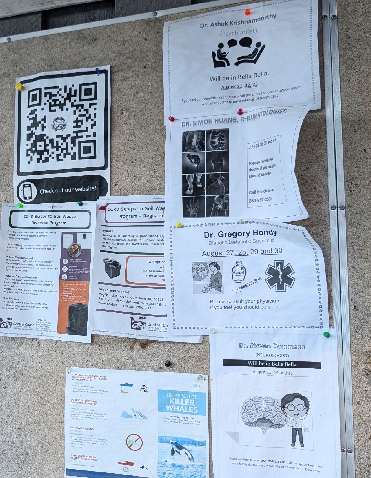 Community bulletin board outside the Shearwater grocery store with flyers for visiting doctors