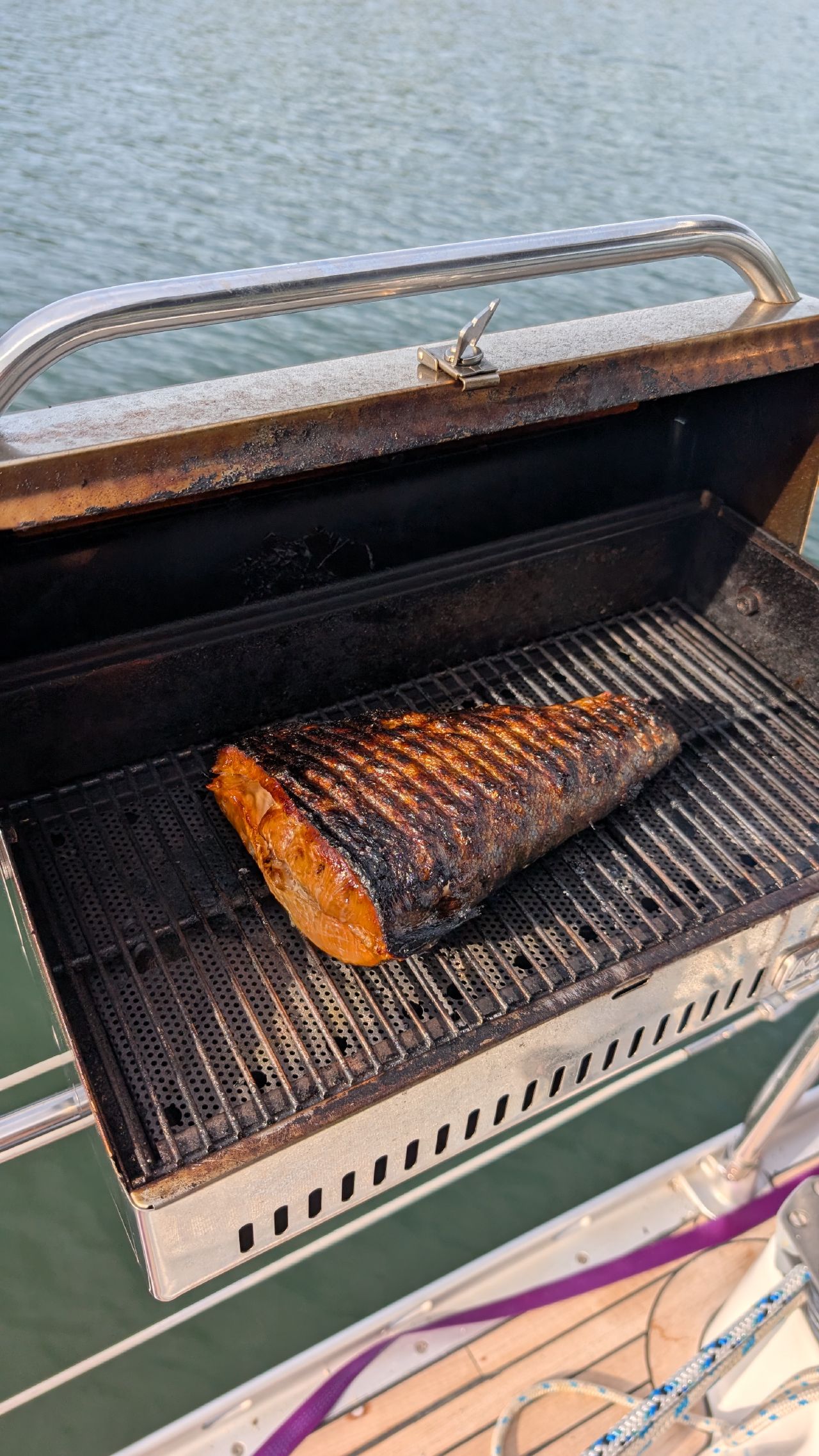 A large salmon fillet grilling on the boat BBQ at Fury Cove with calm water behind