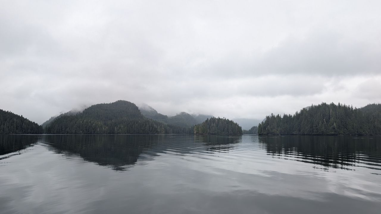 Misty forested islands reflected in perfectly glassy water on the passage to Berry Cove