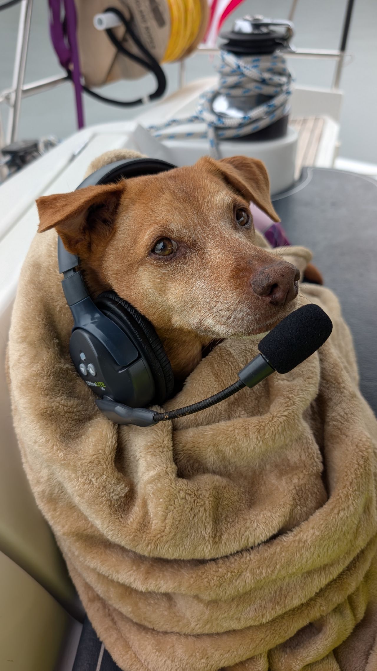 Maui wrapped in a blanket wearing a headset with microphone in the cockpit of SV Yahara