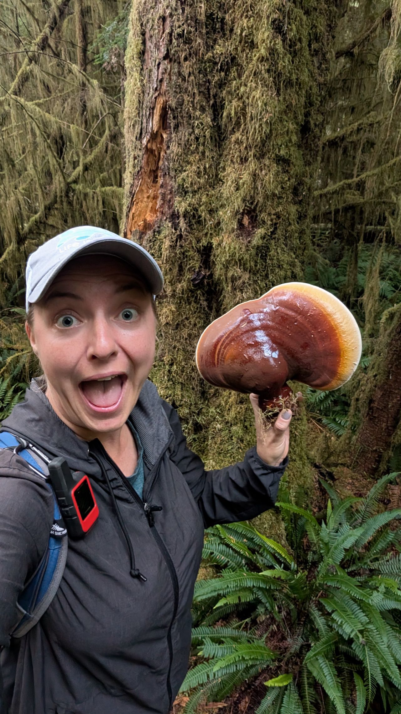 Rachel with an excited expression holding a large reishi mushroom she found while hiking in a mossy BC rainforest