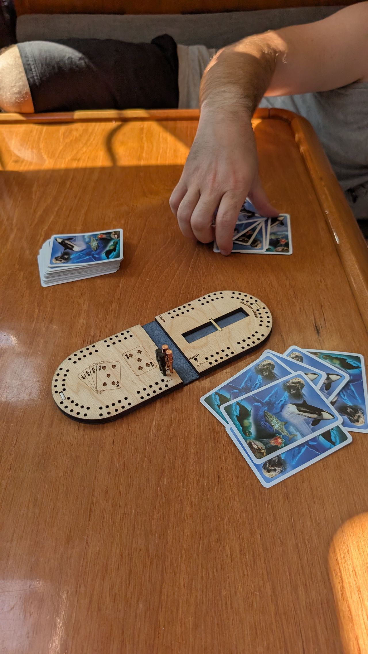 Mini wooden cribbage board from Nanaimo art walk with orca-themed playing cards on the saloon table