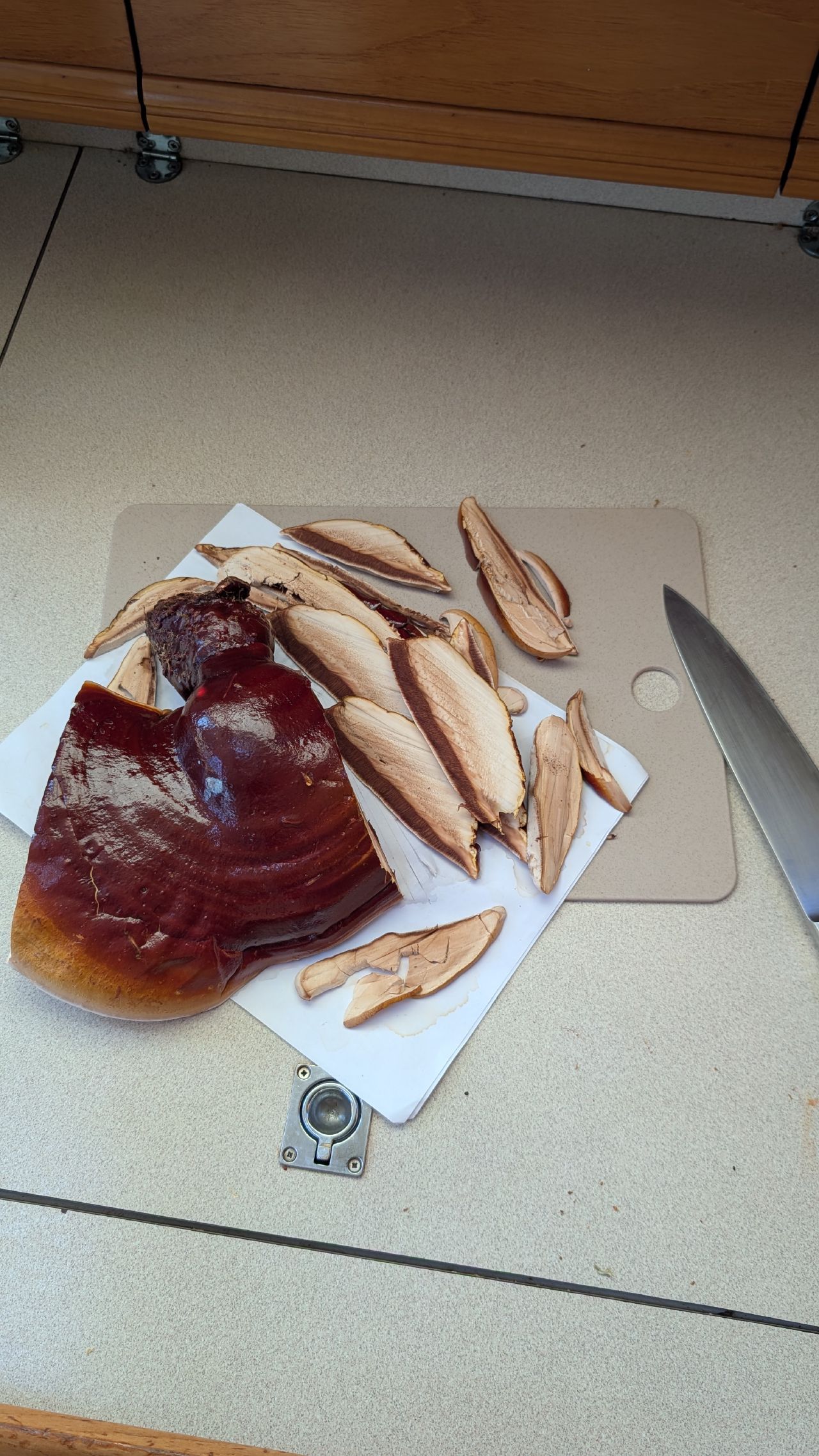 Reishi mushroom being sliced on a cutting board in the galley, showing the glossy red cap and tan interior