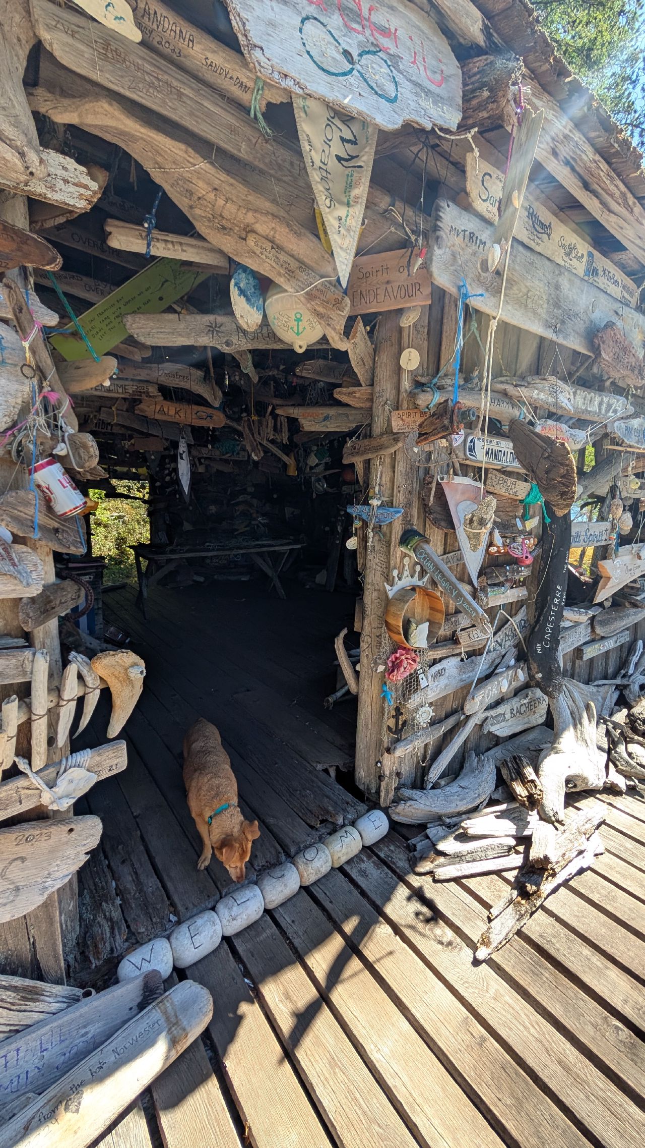 Entrance to the driftwood cabin at Octopus Islands covered in signs, art, and mementos from visiting boats