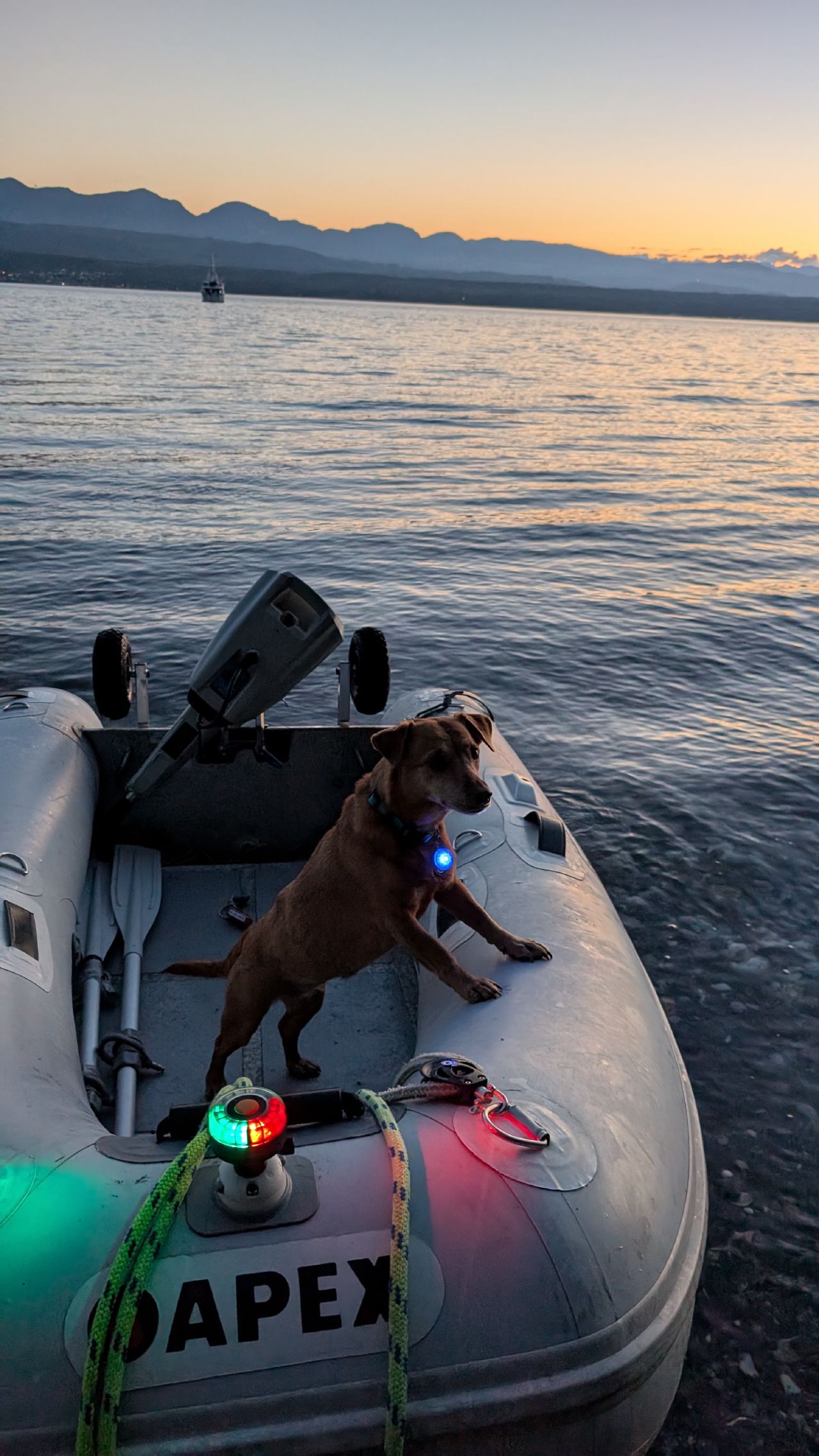 Maui sitting in the Apex dinghy at sunset in Henry Bay with glowing nav lights and mountains on the horizon