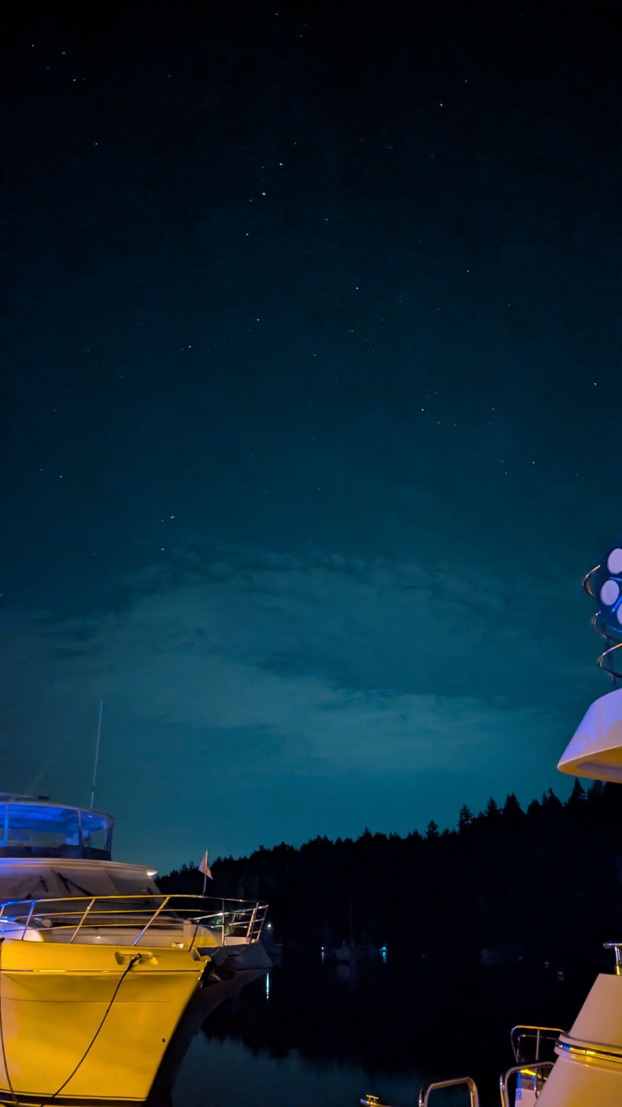 Starry night sky above illuminated boats at the Telegraph Harbour marina with trees silhouetted on the horizon
