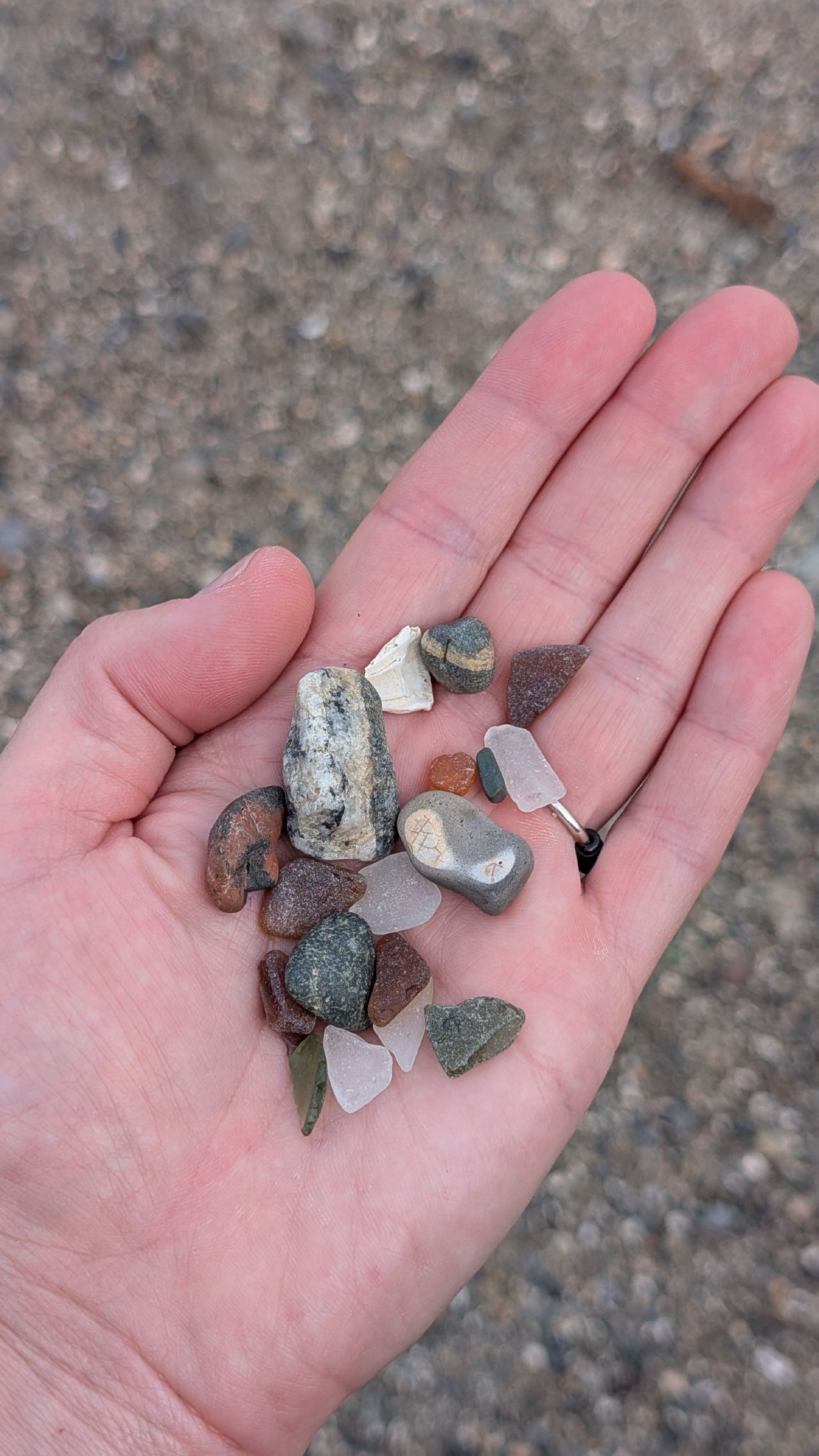 Handful of sea glass pieces and smooth stones collected from the beach in Sidney