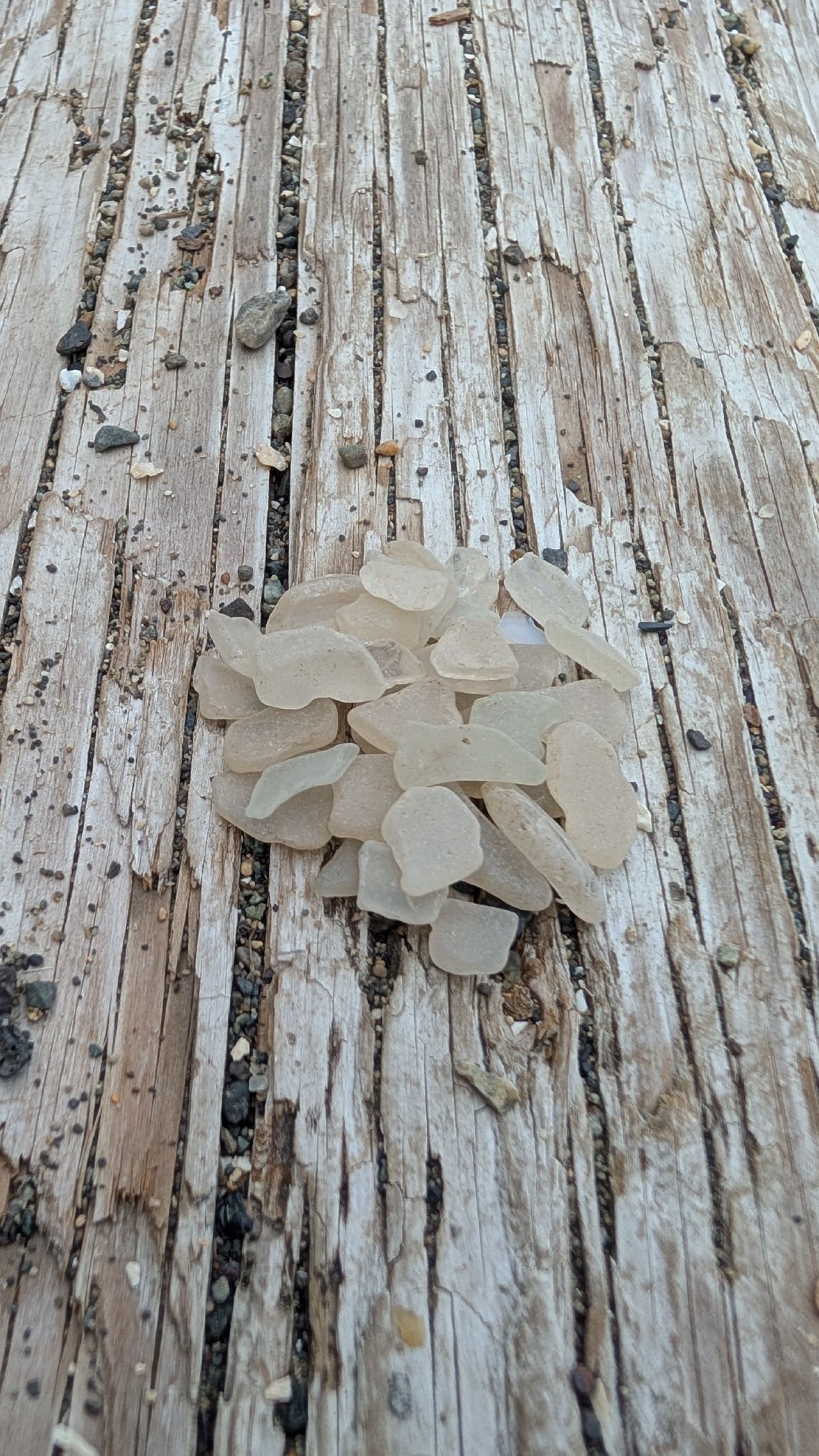 Collection of frosted white sea glass pieces arranged on a weathered wooden surface