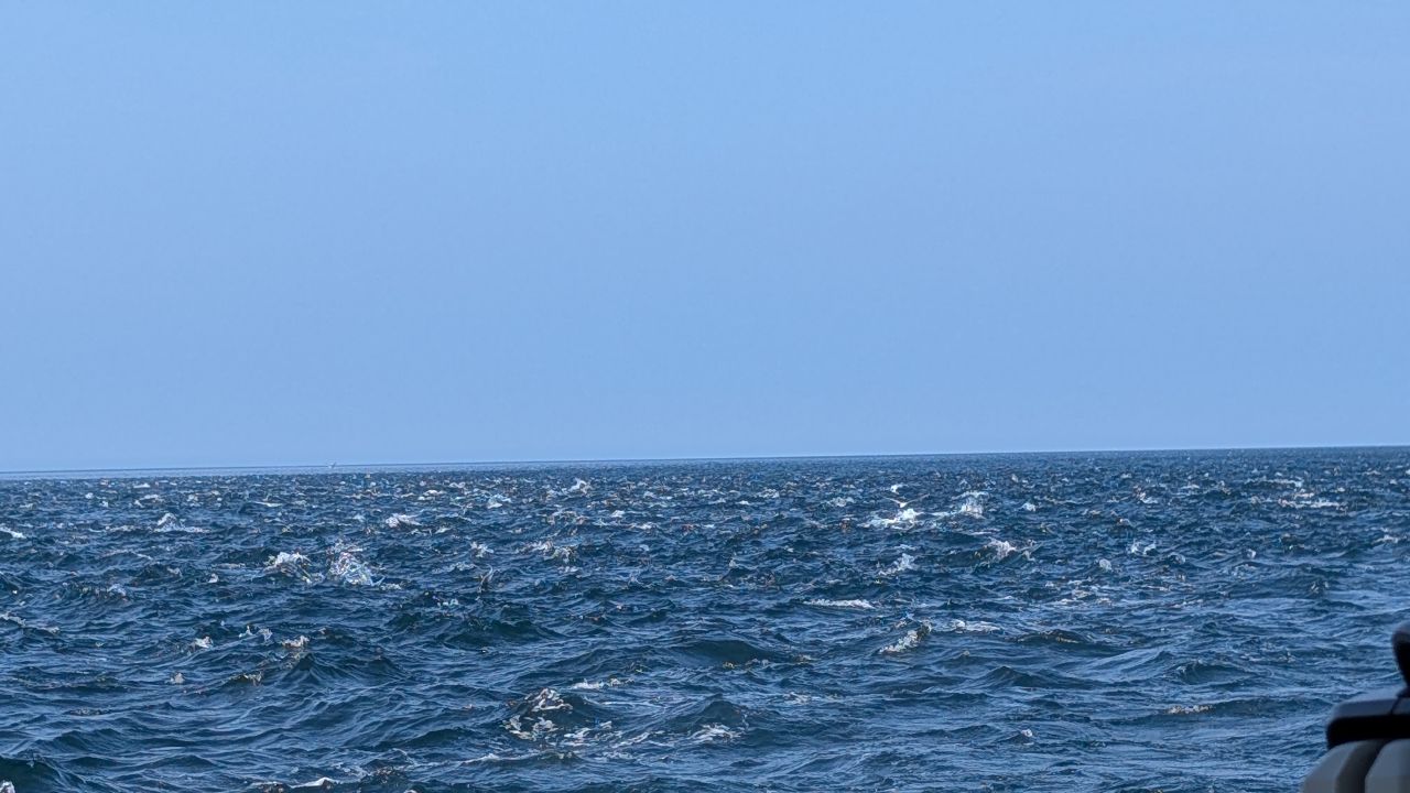 Choppy blue seas in the Strait of Juan de Fuca on a clear day during the passage south