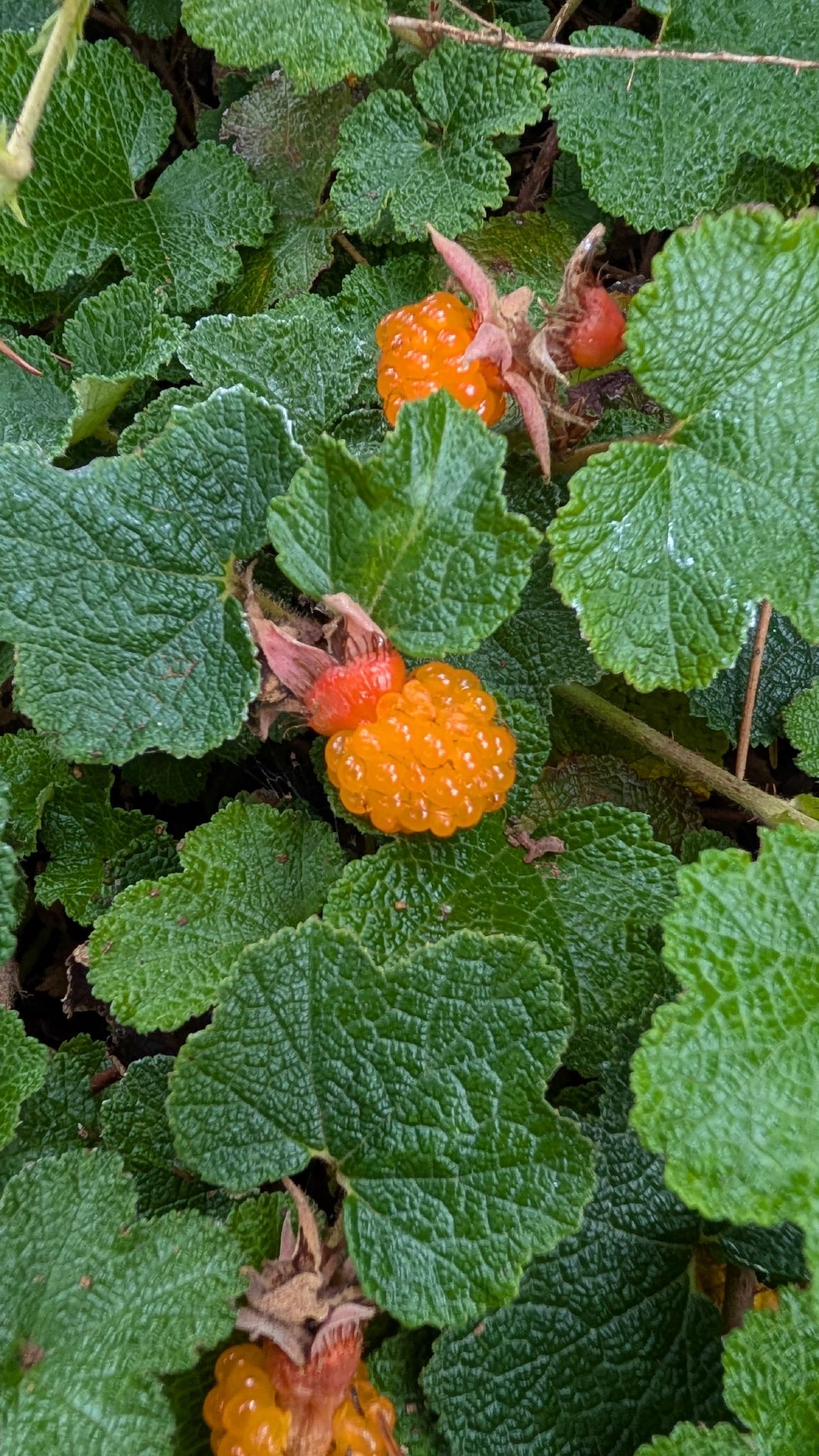 Blog