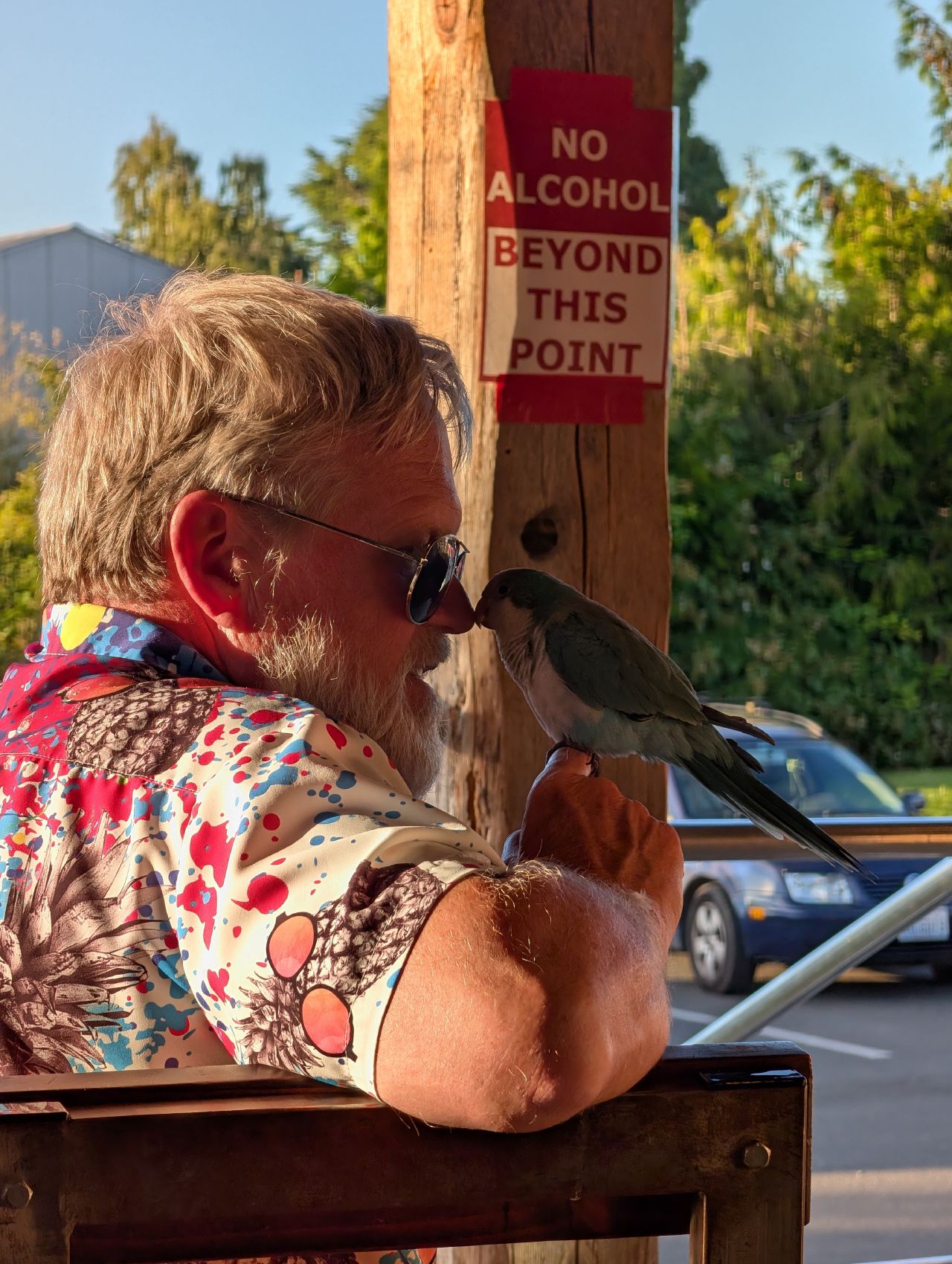 A small bird perched on a man’s hand by the harbor