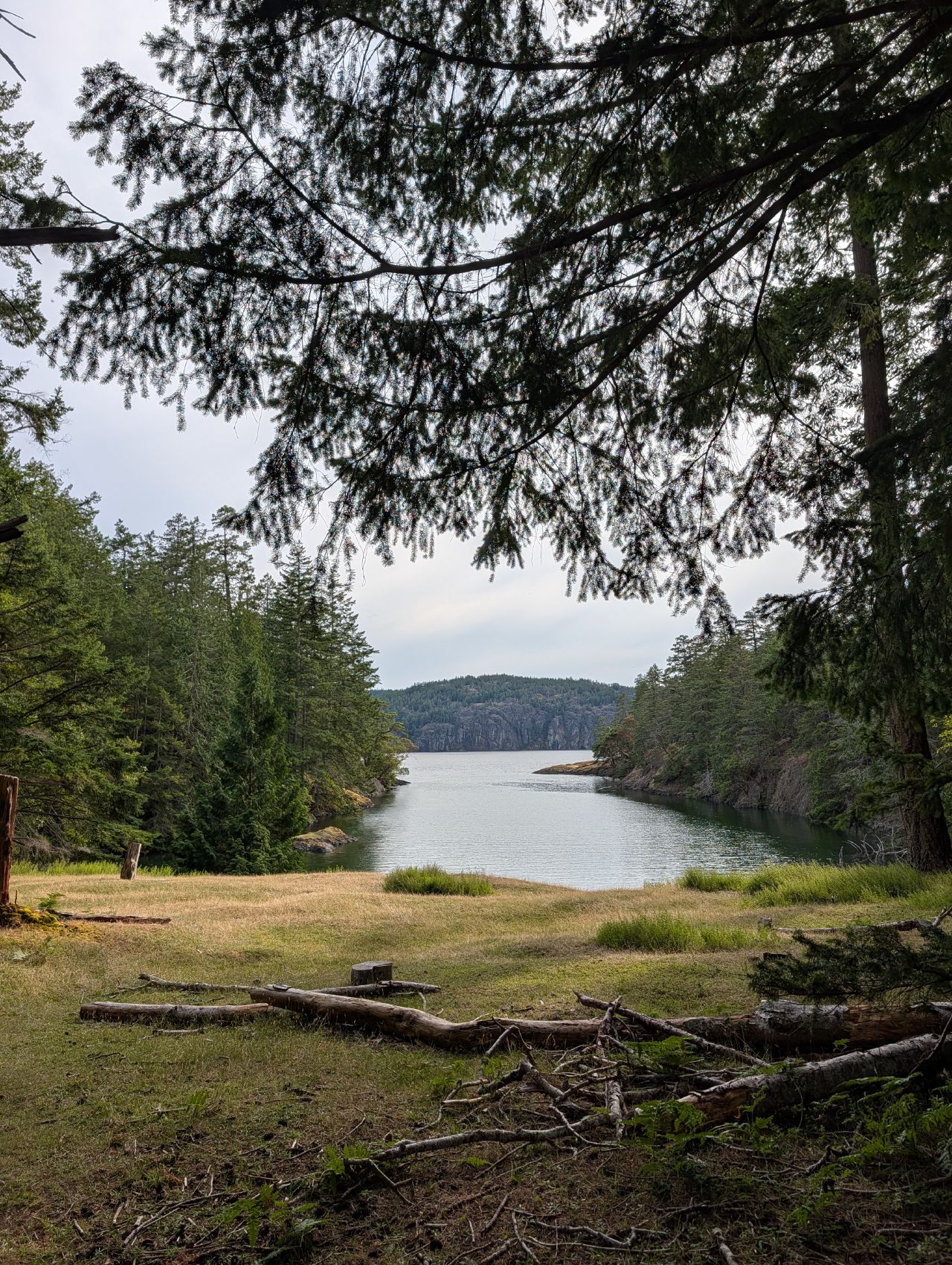 A calm lagoon framed by forest on Jedediah Island