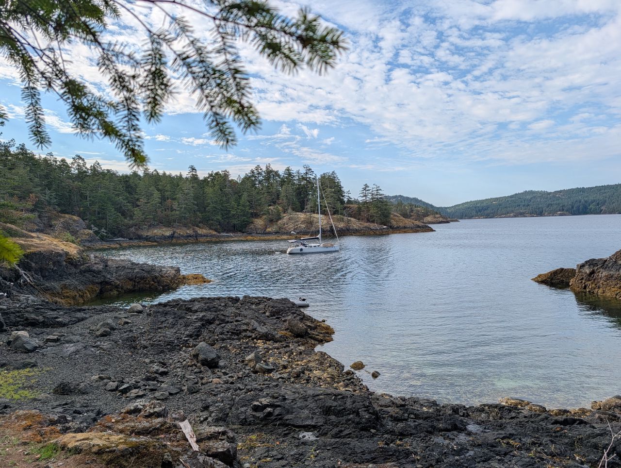 The sailboat at anchor framed by evergreen boughs