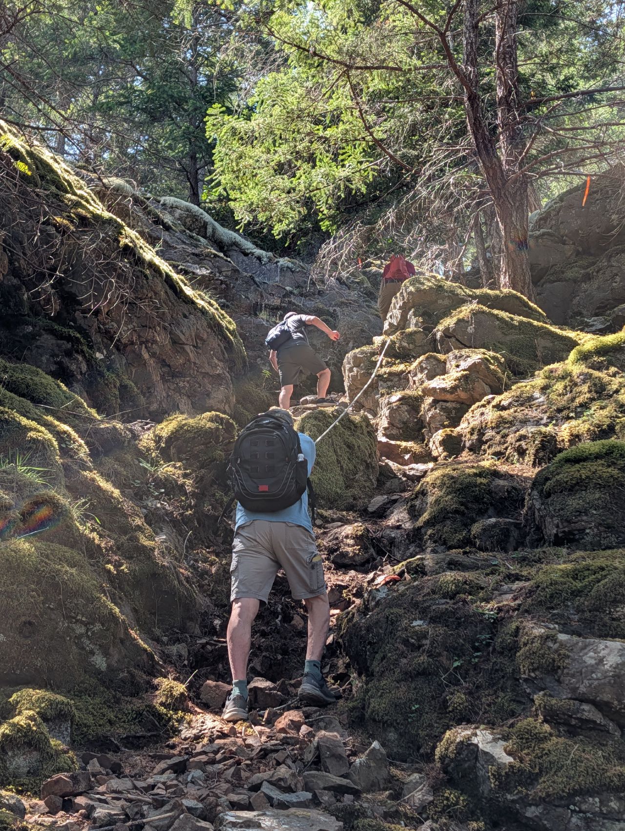 48% 60% Hiking up a steep, moss-lined rocky section of the trail