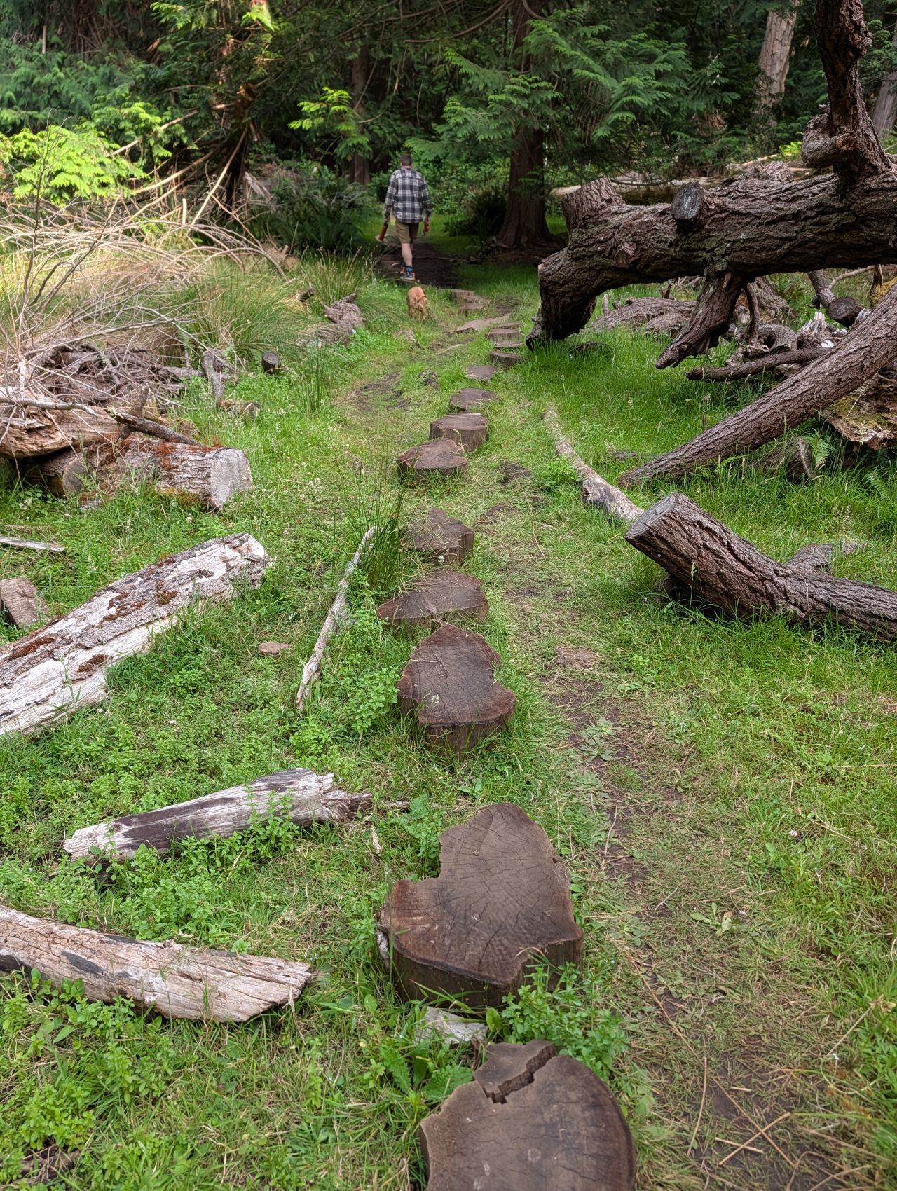 43% 17% A stone-laid path winding through the grass on the trail