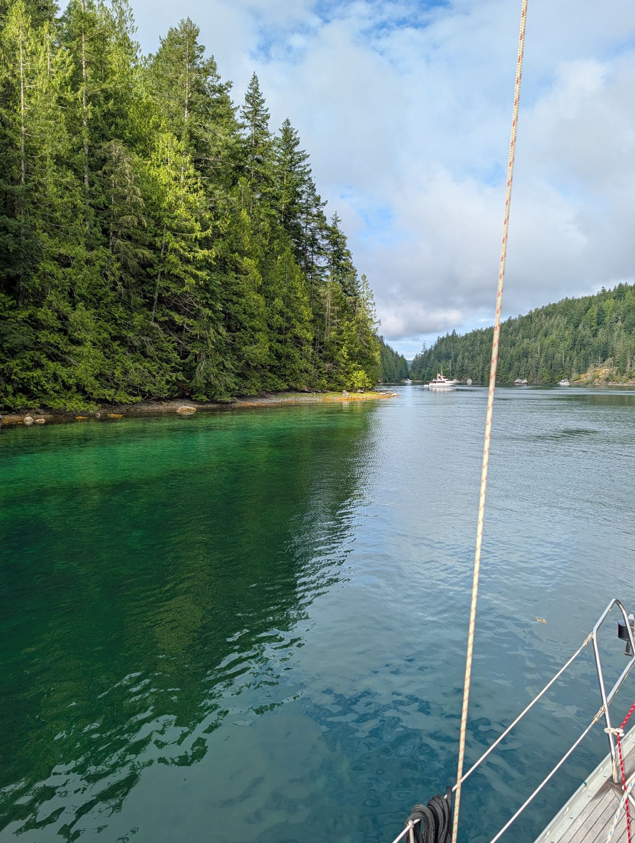 Emerald water along the forested shore at Roscoe Bay